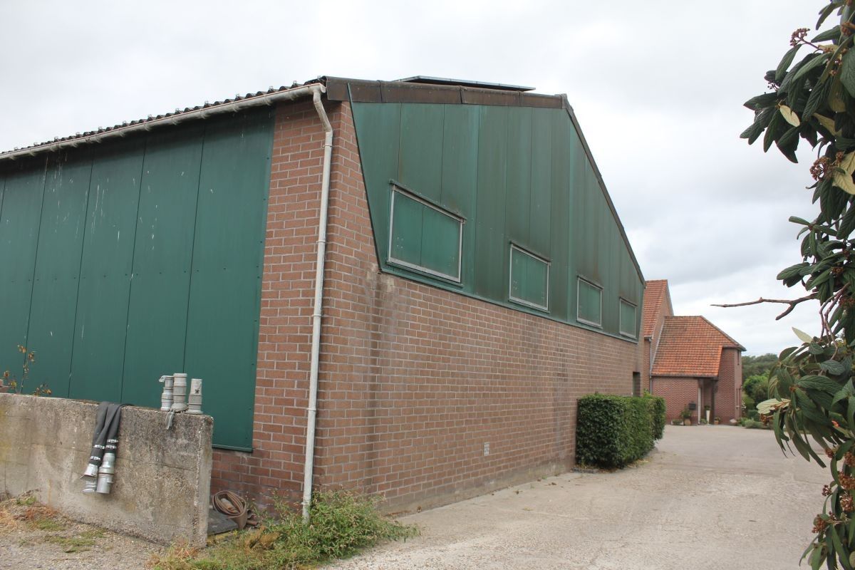 Melkveebedrijf met 38,70 ha grond te koop te Bocholt foto 14