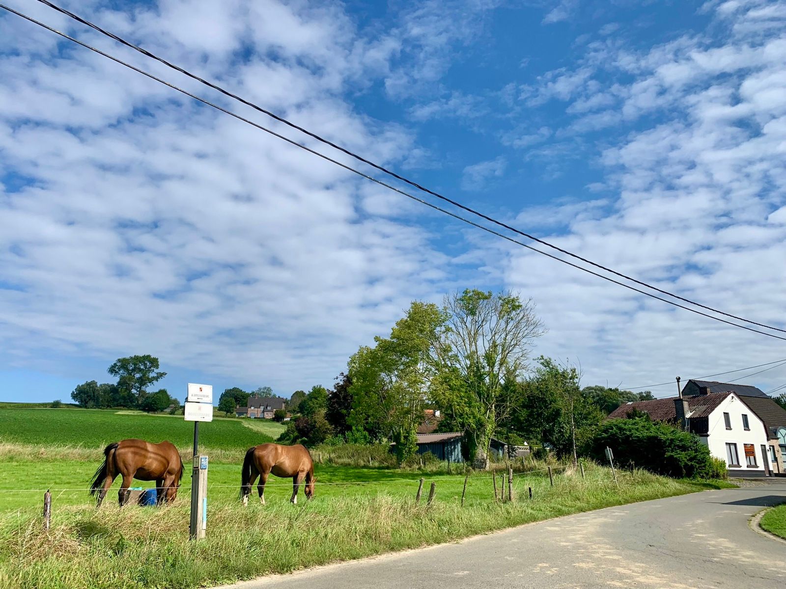 Te renoveren woning op een prachtige locatie foto 9