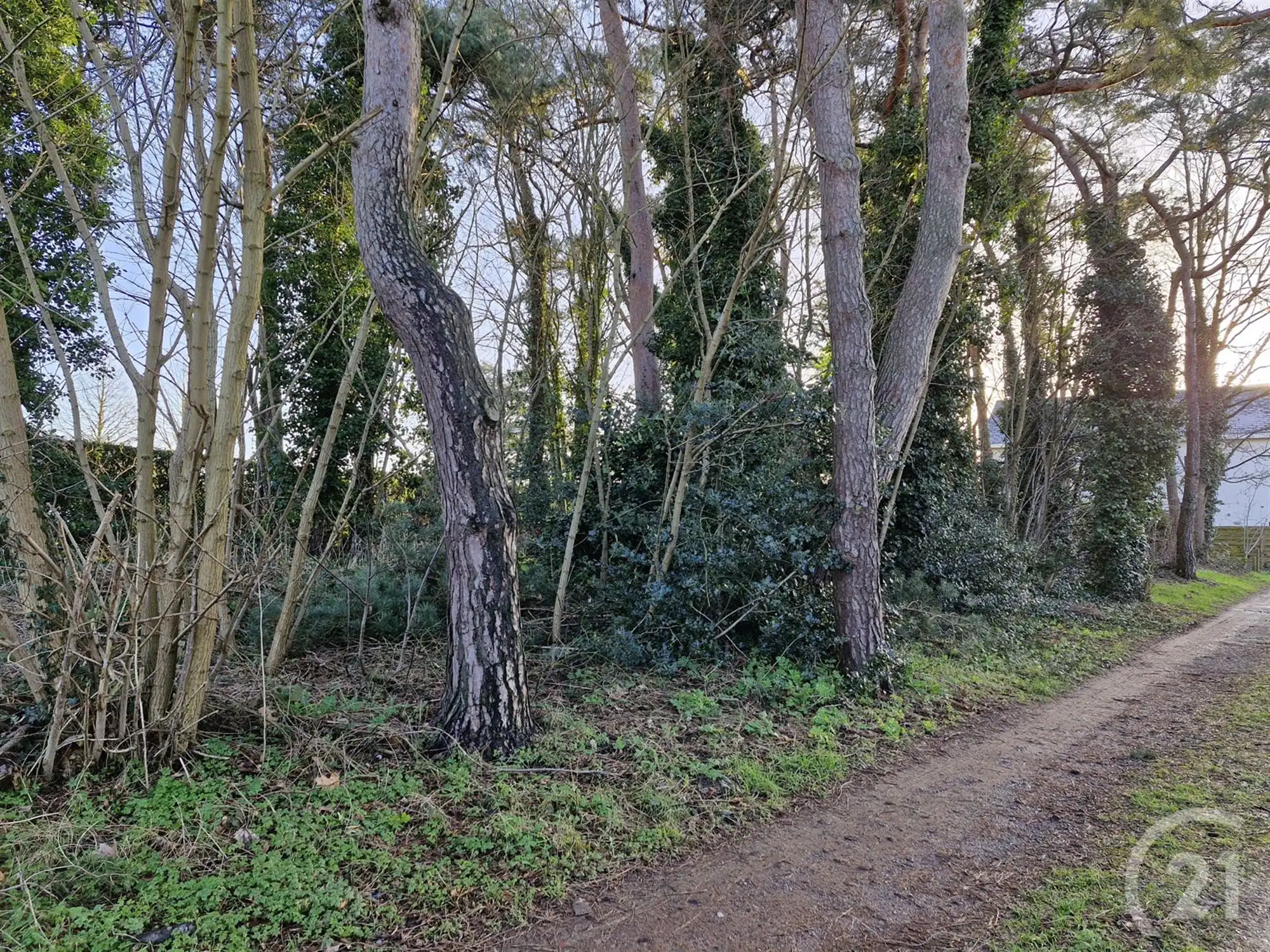 Bouwgrond te koop in Tremelo! foto 2