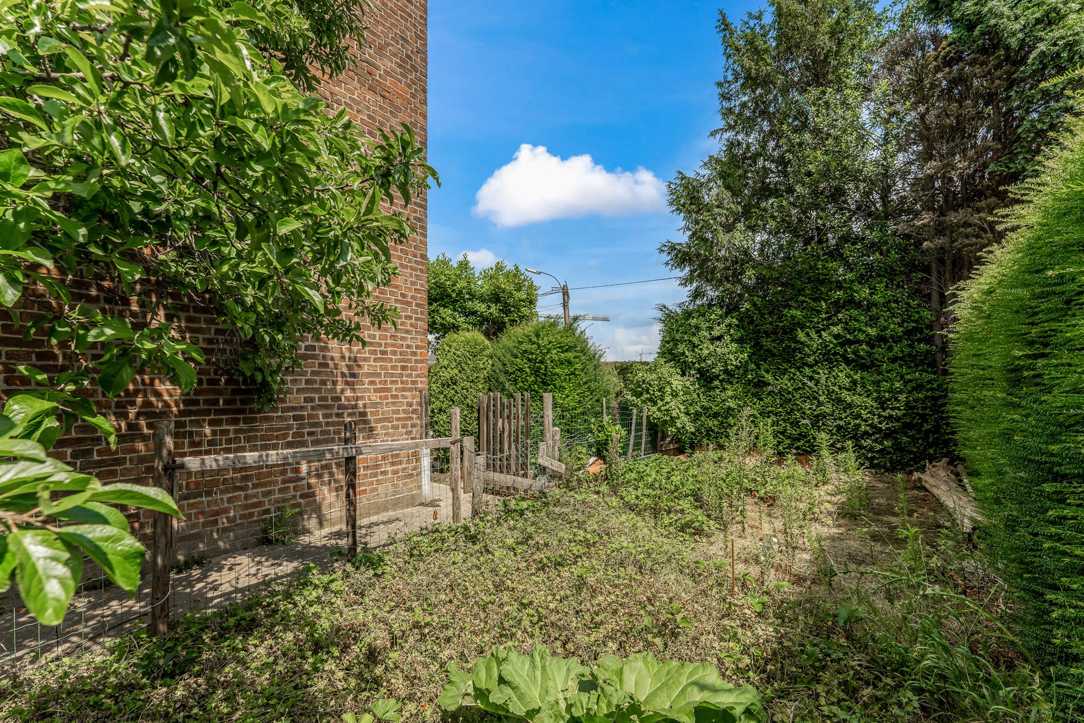 Charmante woning op 6a30ca te Kesselt foto 22