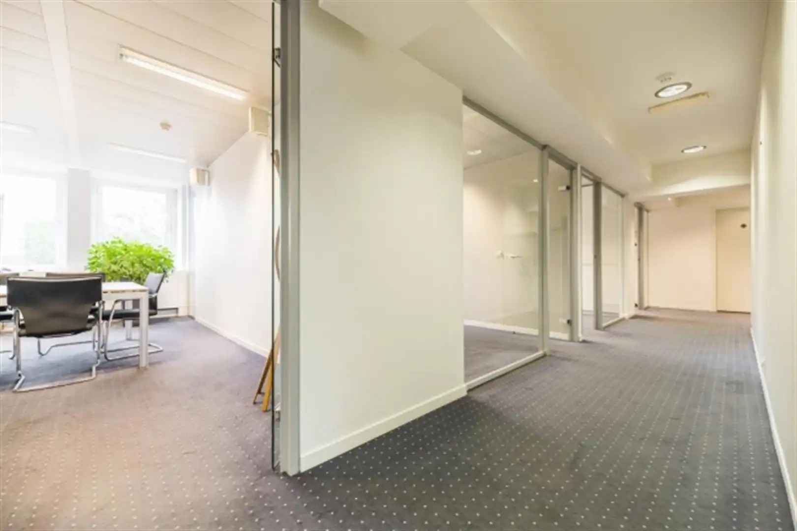 KUNST/ ARTS 41: vanaf 205m² foto 9