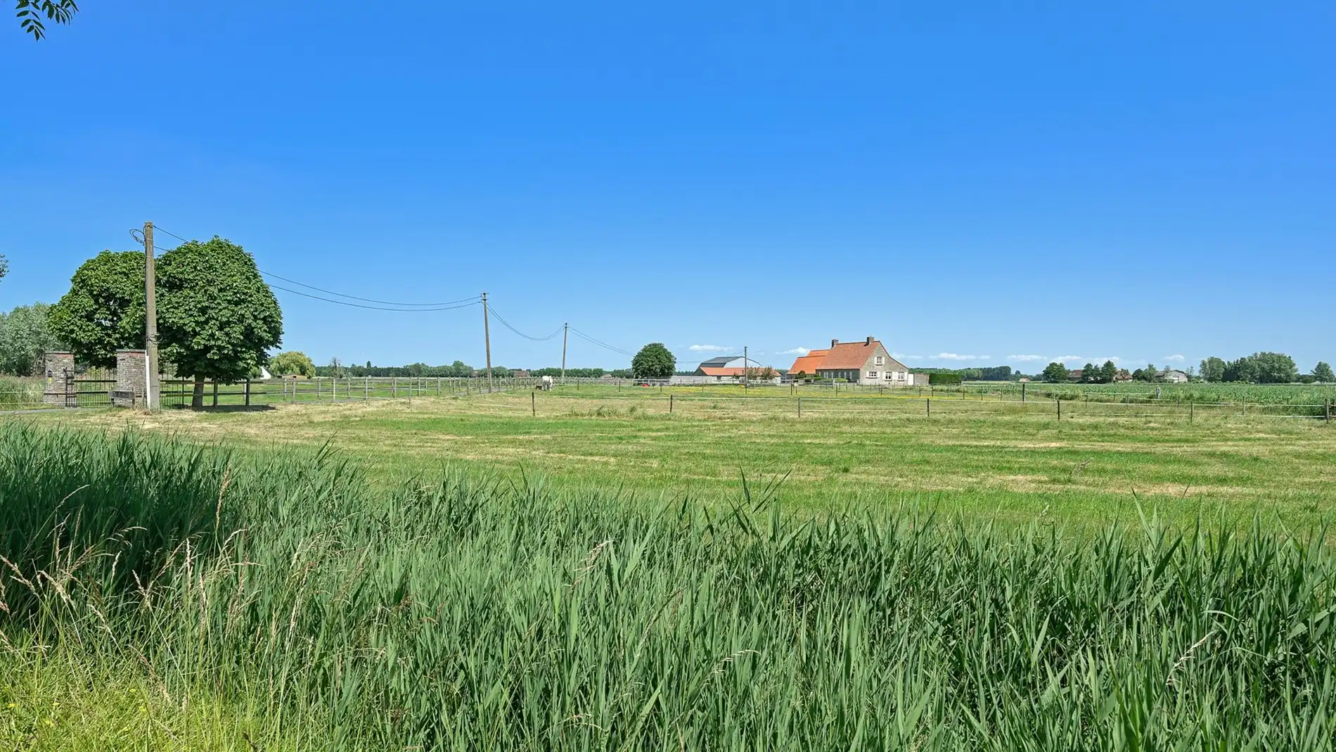 Een buitenkans voor paardenliefhebbers foto 17