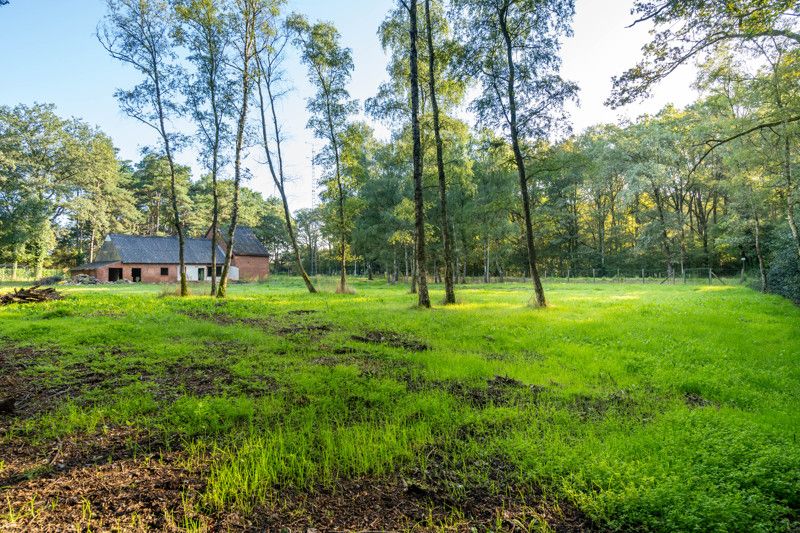 Uniek gelegen renovatieproject op 1,8 ha foto 14