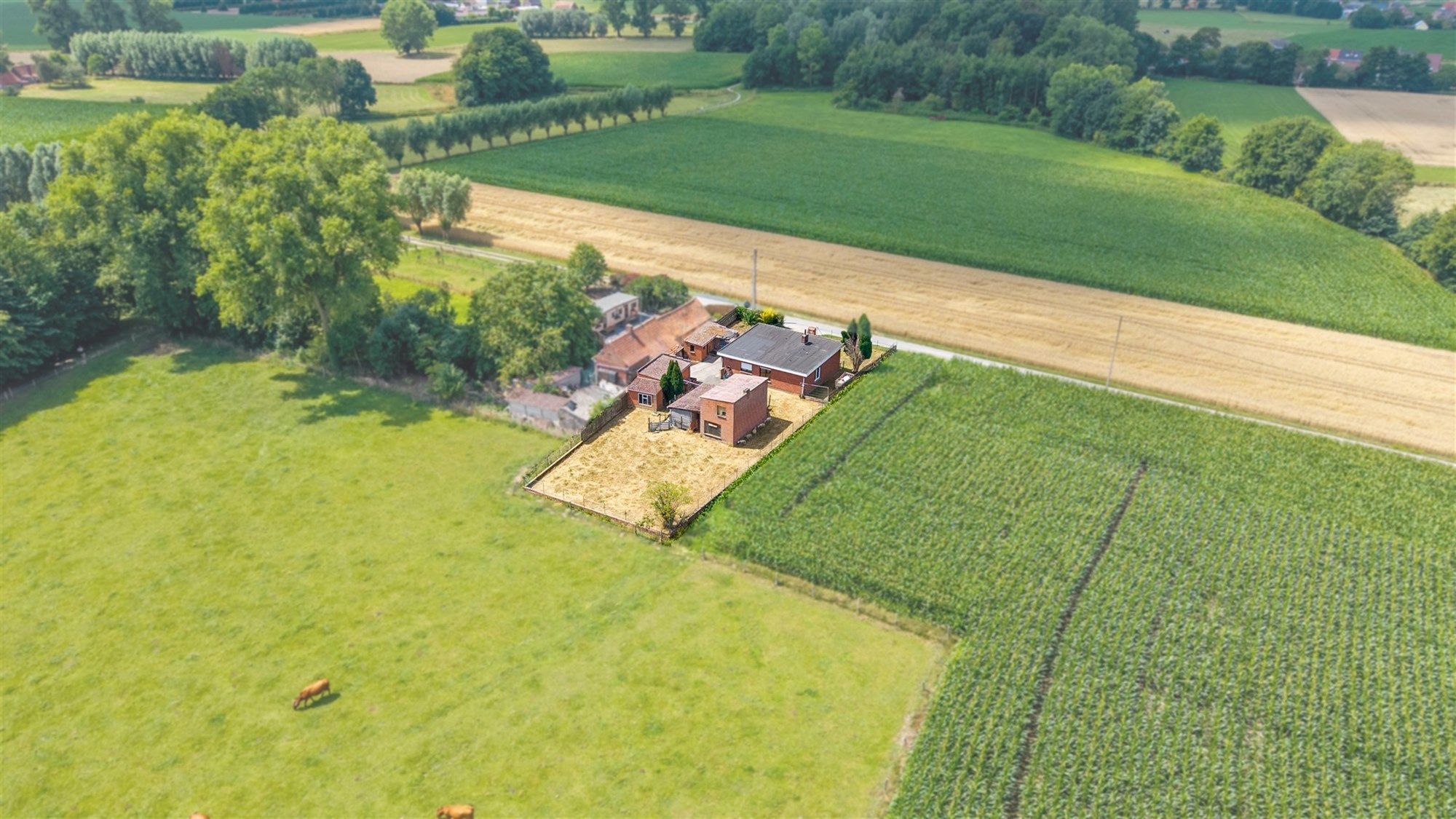 Hoofdfoto van de publicatie: VRIJSTAANDE WONING MET BIJGEBOUWEN OP 913M² TE AARSELE