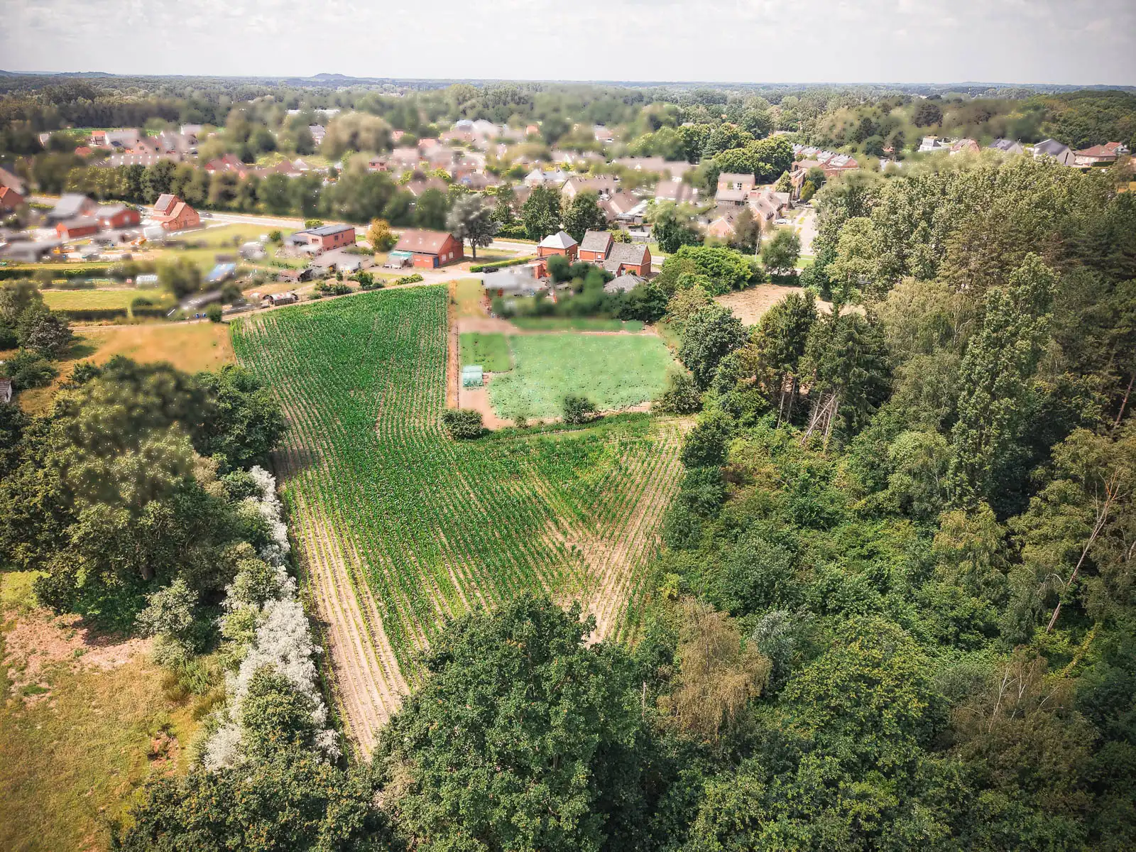 Karaktervolle woning op prachtig perceel van ruim 11501 m² foto 4