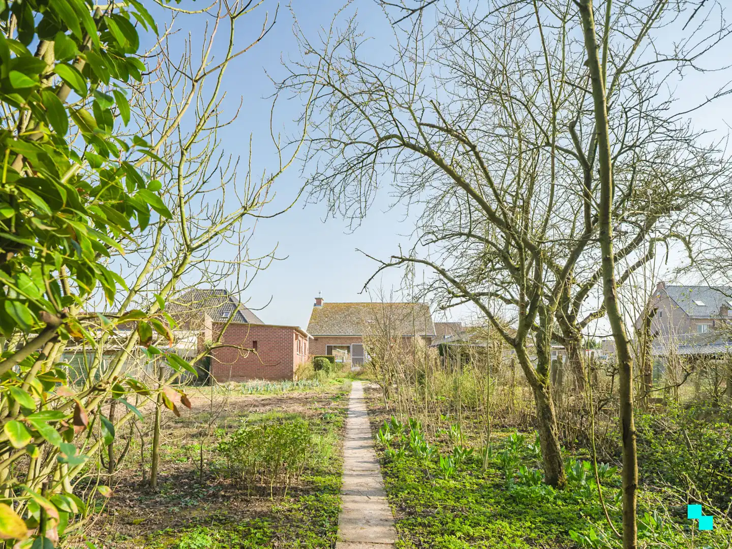 Te renoveren woning met garage en unieke tuingrond grenzend aan het bos foto 27