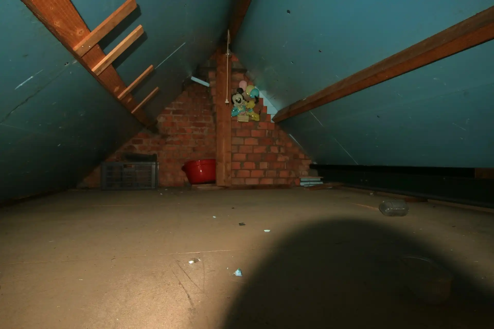 Ruime bel-étagewoning met tuin in rustige omgeving foto 17