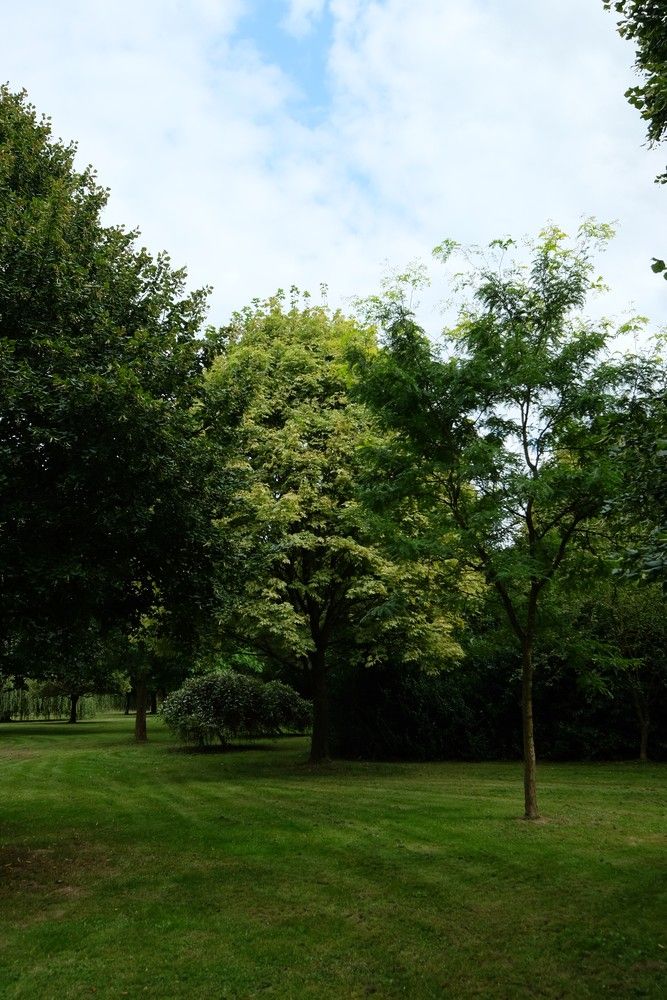 Uniek perceel met een charmante vakantiewoning midden in de natuur omgeven door een uitzonderlijke collectie van prachtige bomen. foto 22