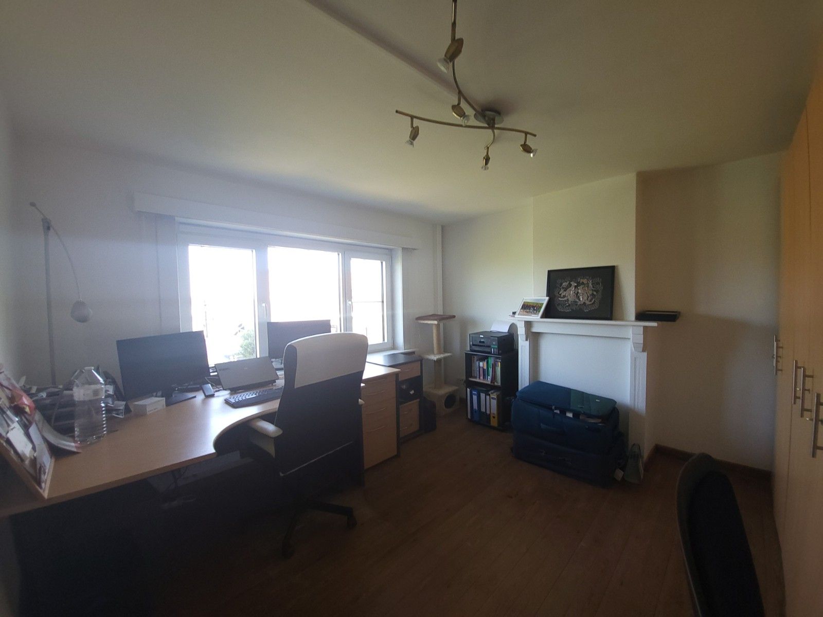 Alleenstaande woning met grote weide en stalling foto 13