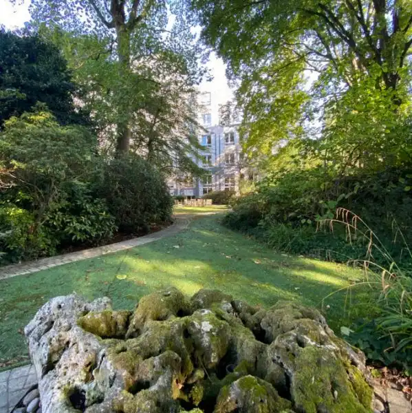 Tervurenlaan 273, 1150 Sint-Pieters-Woluwe foto 4