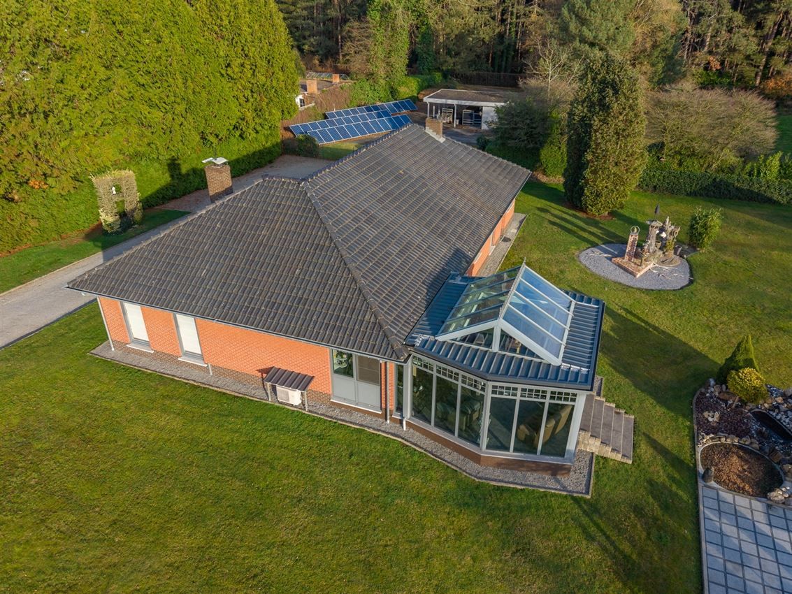 verborgen parel in het groen foto 39