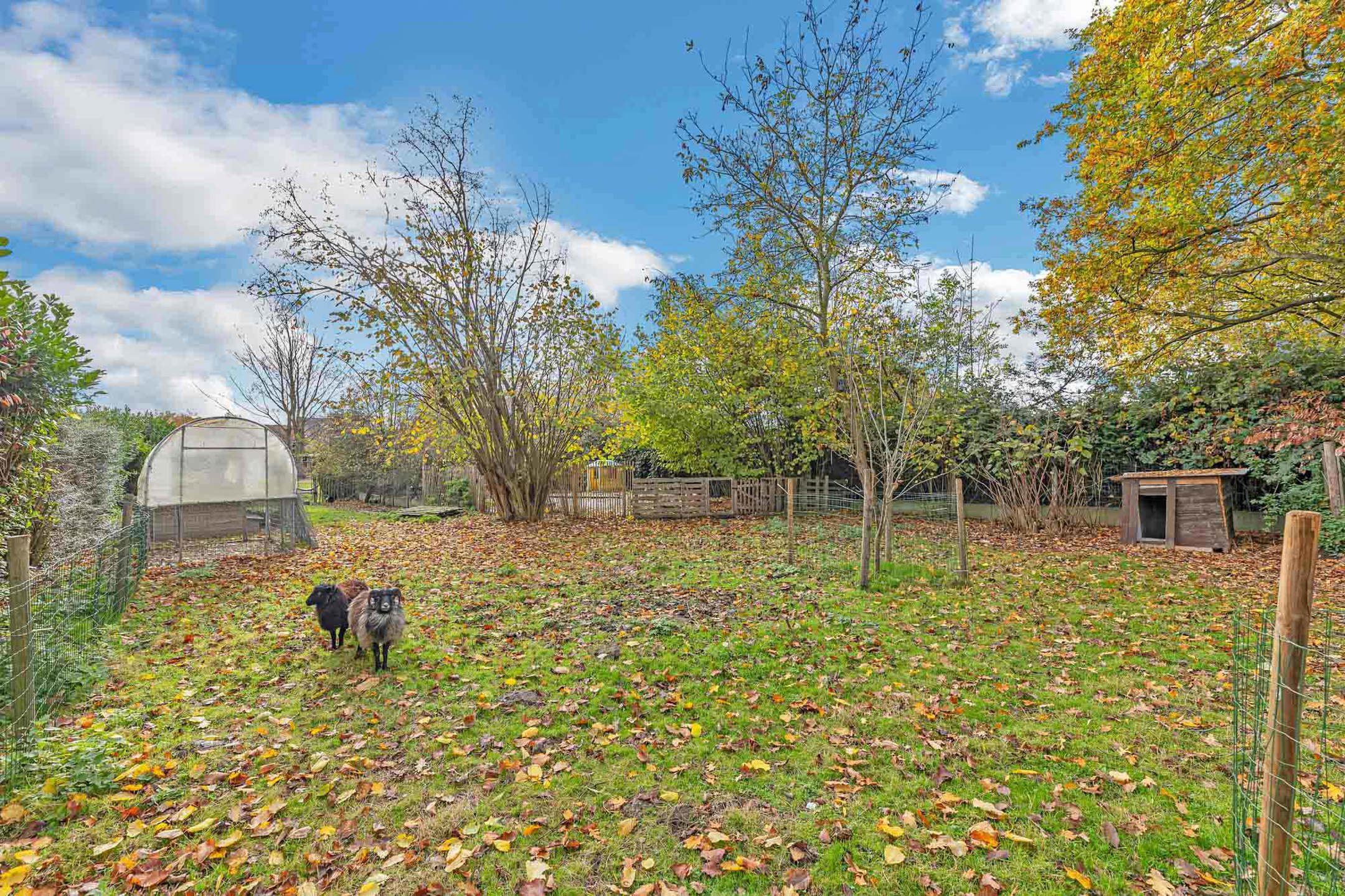 Gezellige woning met ruime tuin foto 23