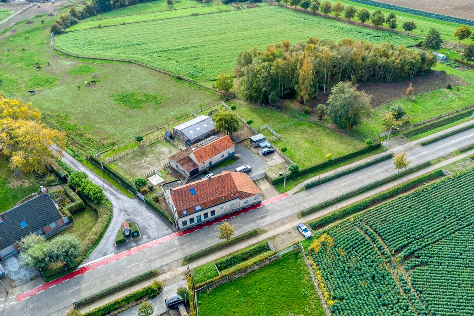Ruime instapklare hoeve met diverse bijgebouwen foto 3