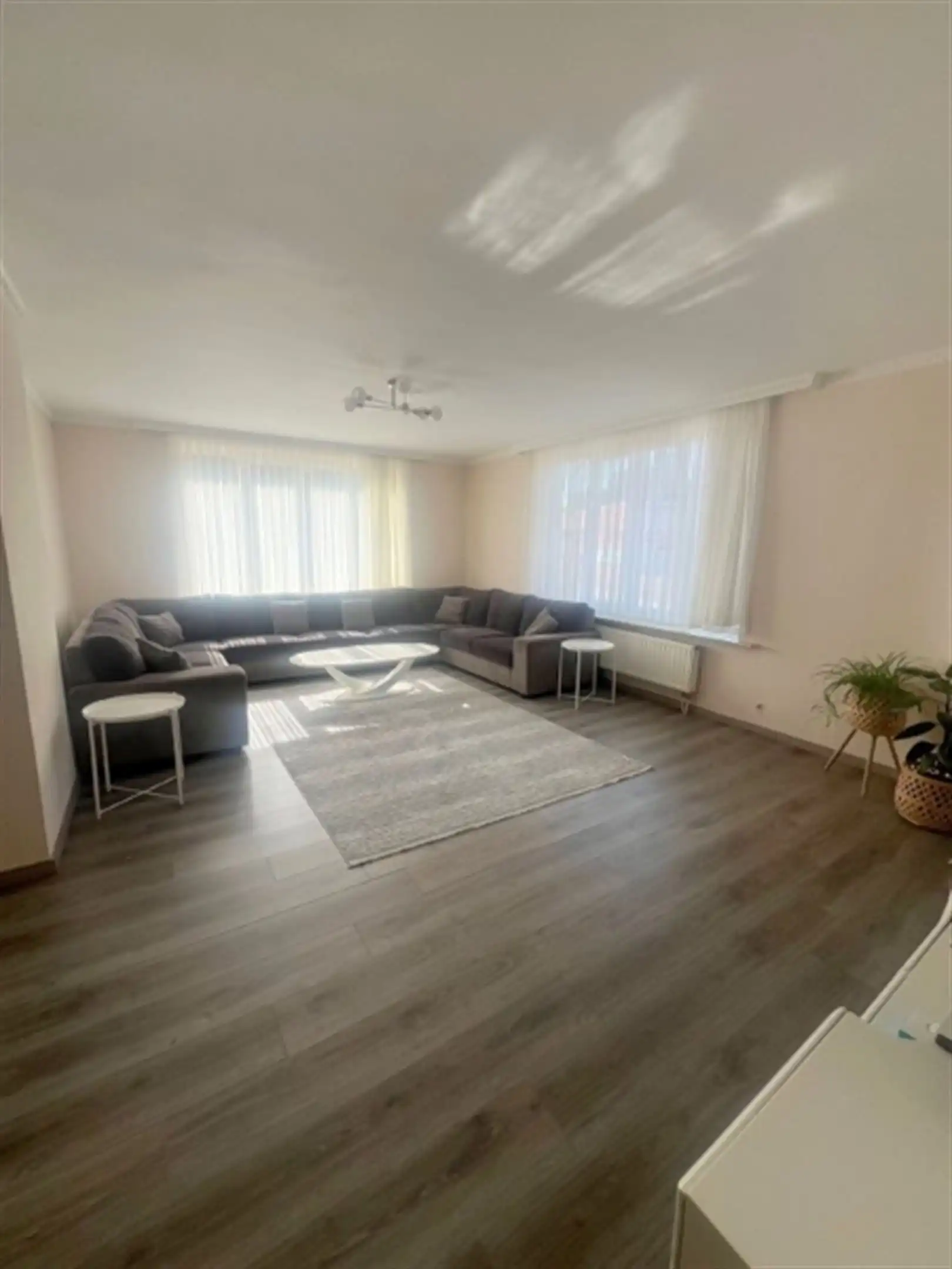 handelszaak + woonst foto 26