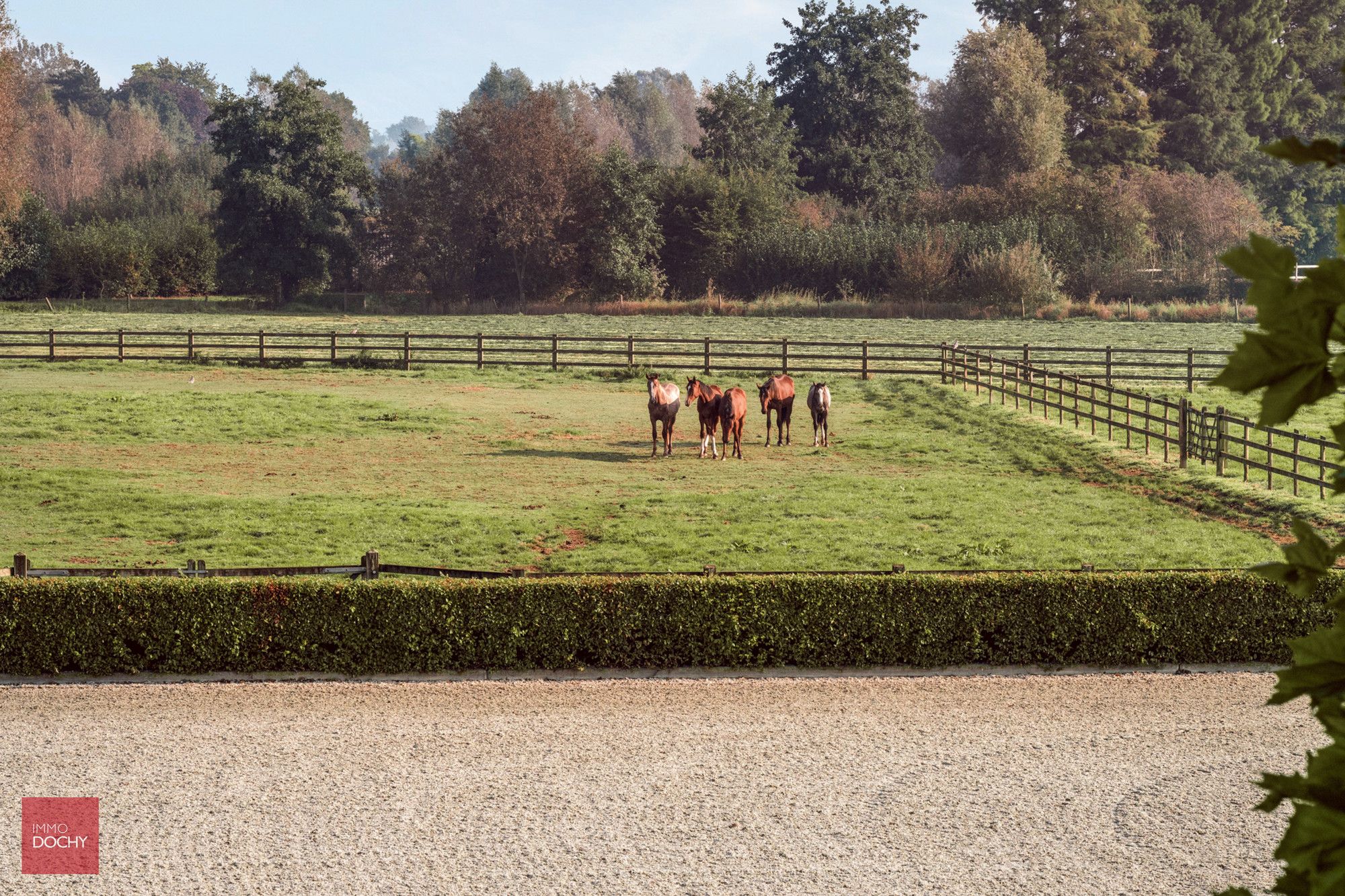 Unieke eigendom op ca. 6ha met paardenaccommodatie foto 22