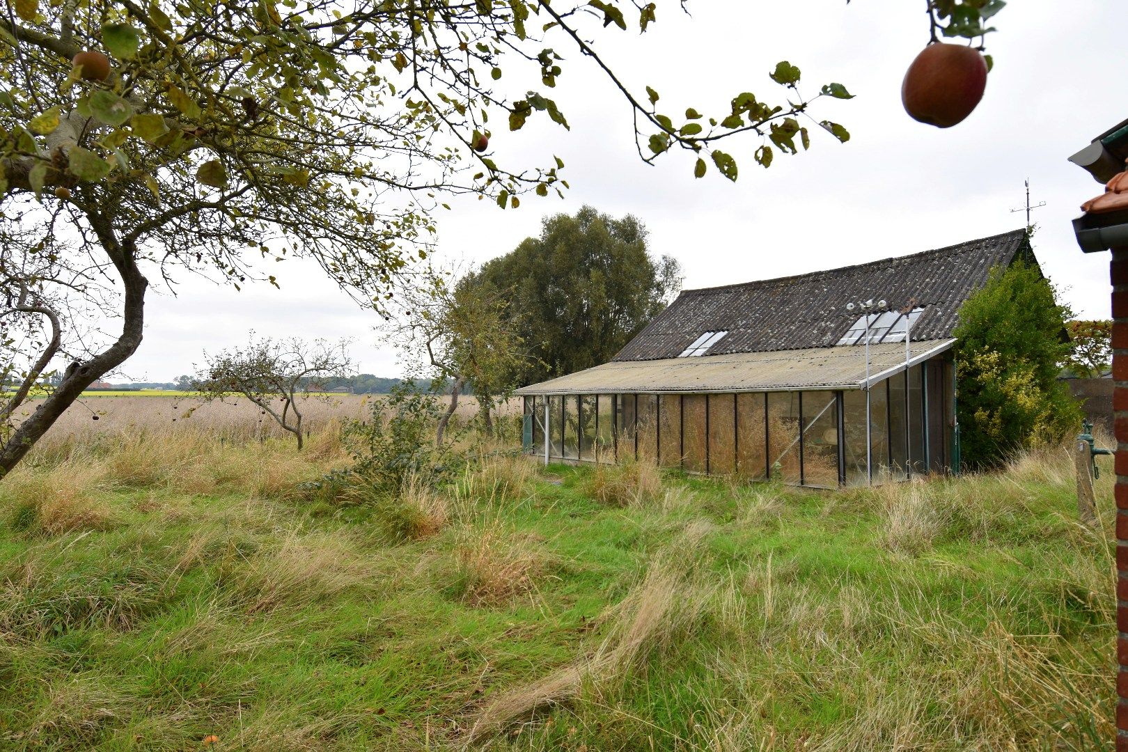 Te renoveren alleenstaande woning met prachtig landelijk vergezicht foto 3