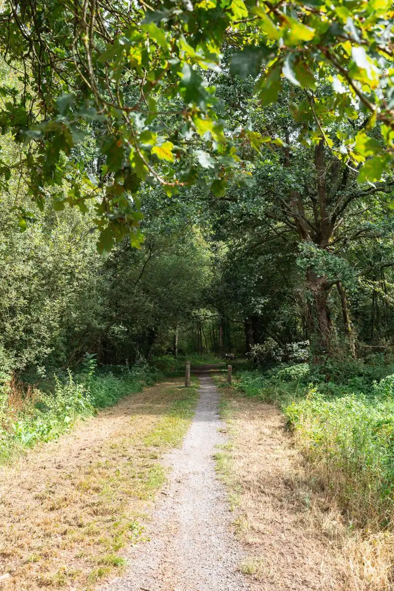 Prachtig stuk natuur foto 2