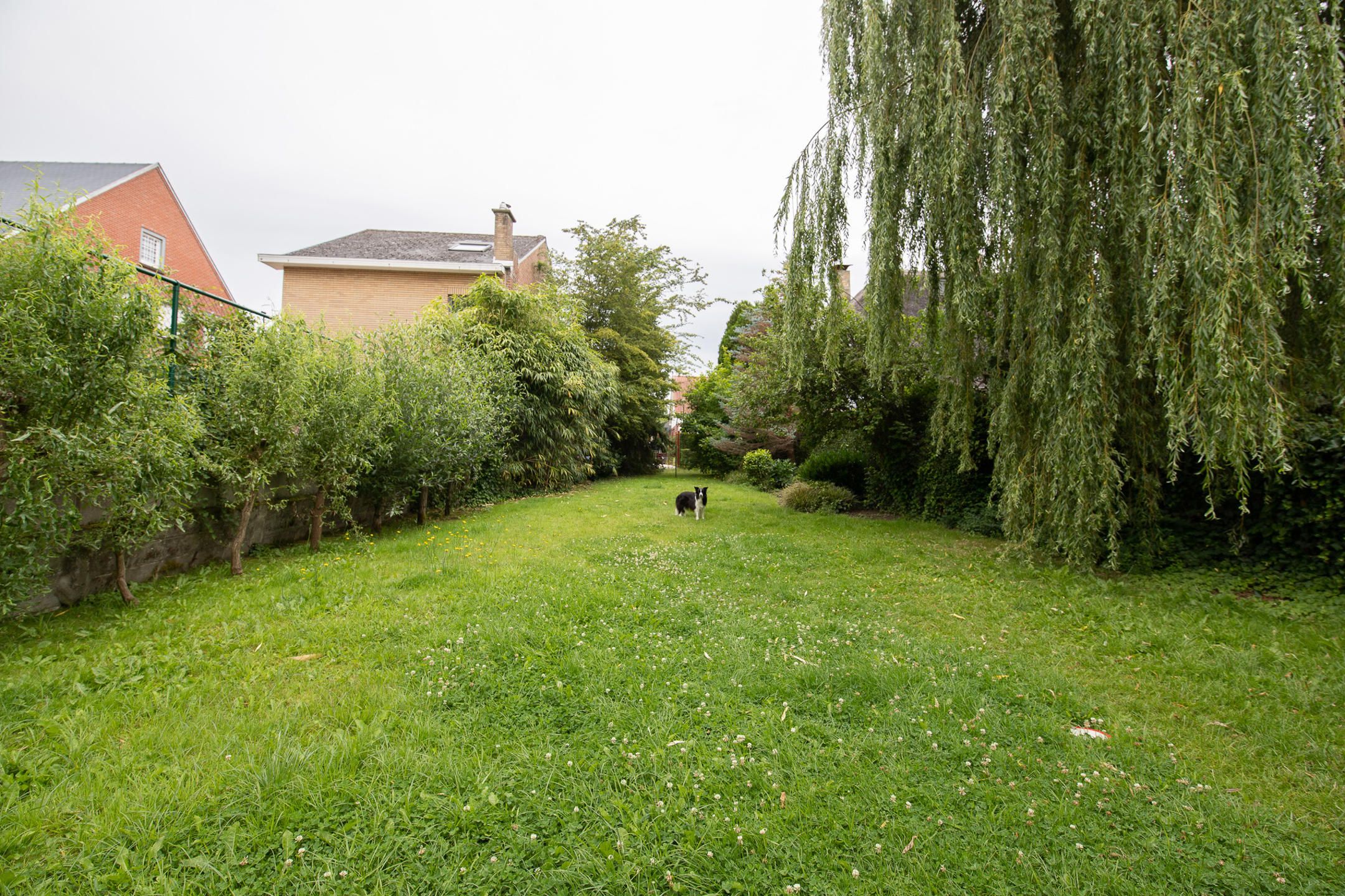 Uitstekend gelegen bouwgrond voor een 3-gevelwoning foto 6