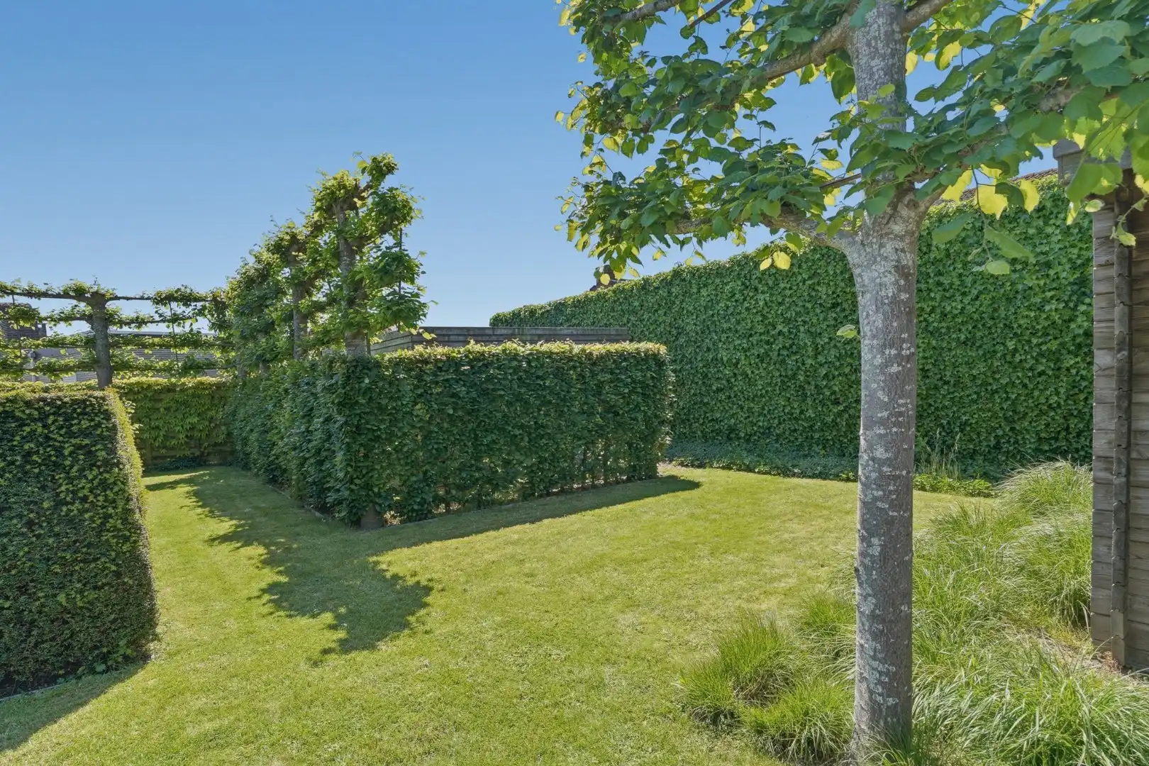 Alleenstaande woning met zonnige tuin op 980 m² foto 16