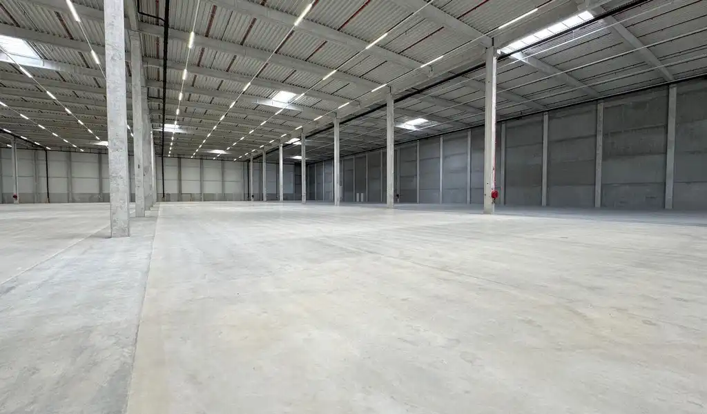 Prologis Park Boom - nieuw logistiek magazijn te huur foto 11