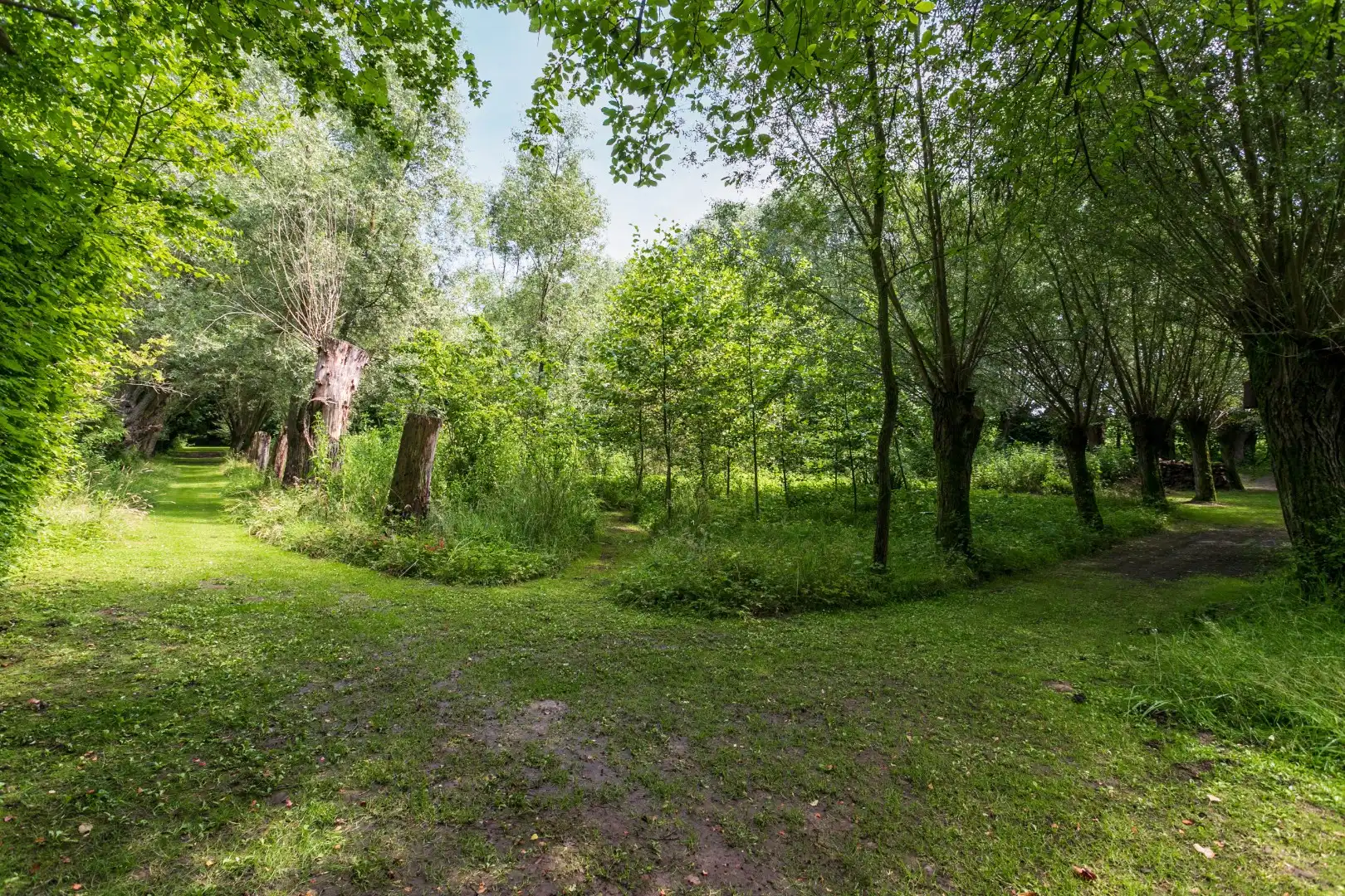 Ruime woning gelegen in een groene omgeving foto 15