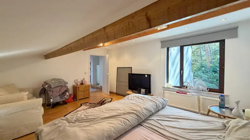 Charmante vernieuwde villa van 231m² op 20 are foto 12