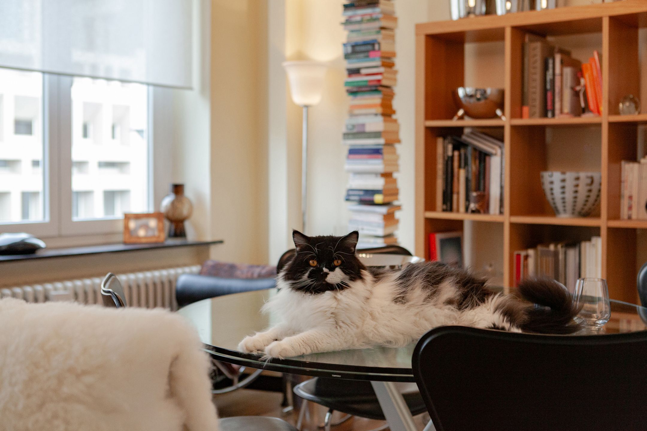 Instapklaar 2-slpk appartement in hartje Gent - Veldstraat foto 9