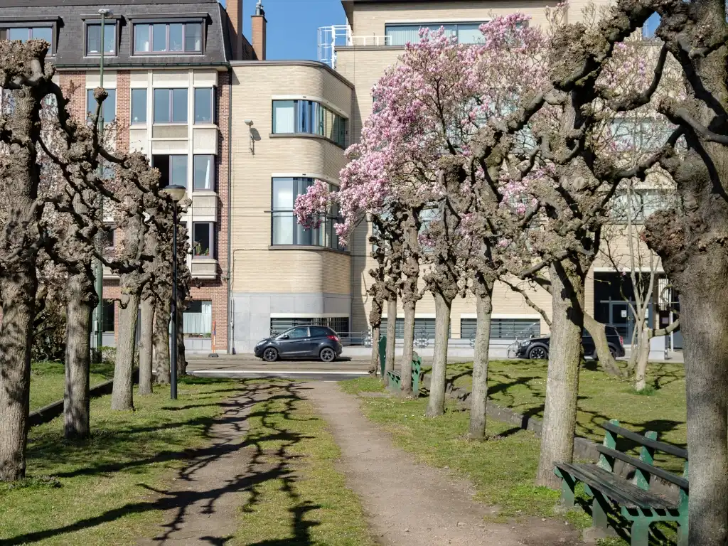 Zeldzaam aanbod - 9 studio’s en 1 appartement op een strategische ligging nabij het befaamde Miljoenenkwartier. foto 17