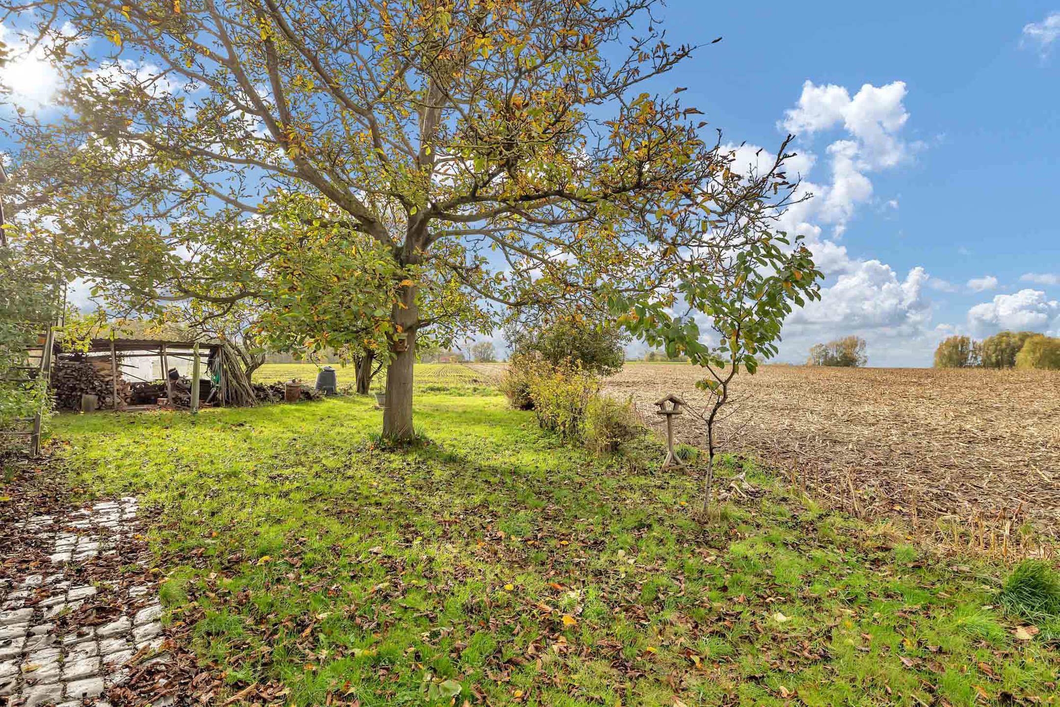 Fantastisch gerenoveerde hoeve met binnenzwembad foto 41