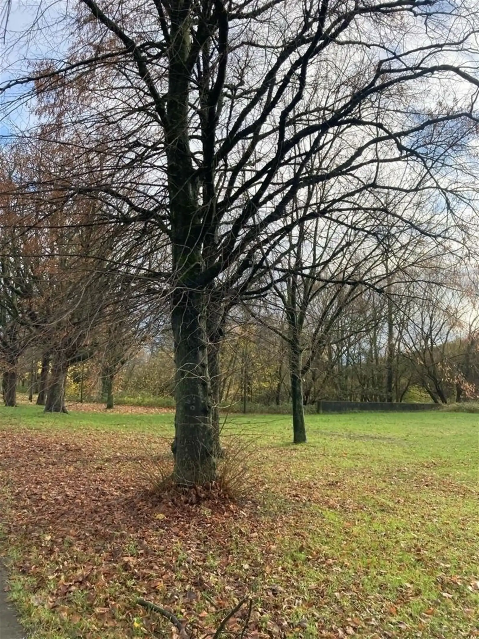 Half open woning bij Edison wijk foto 12