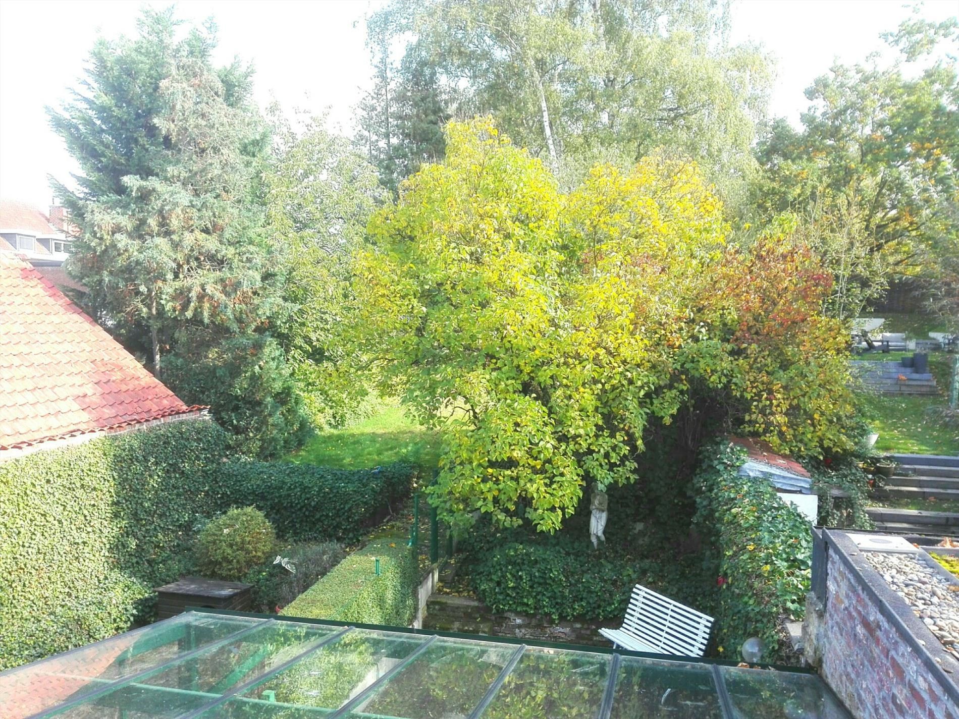 knusse stadswoning met terras foto 12