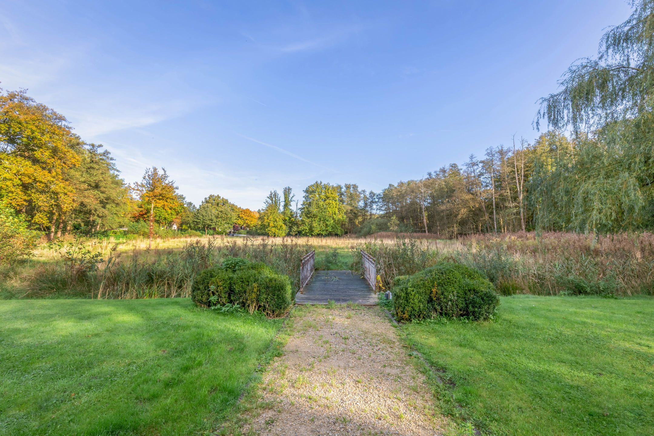 Charmante woning omringd door ca 6000m² aan prachtige natuur foto 23