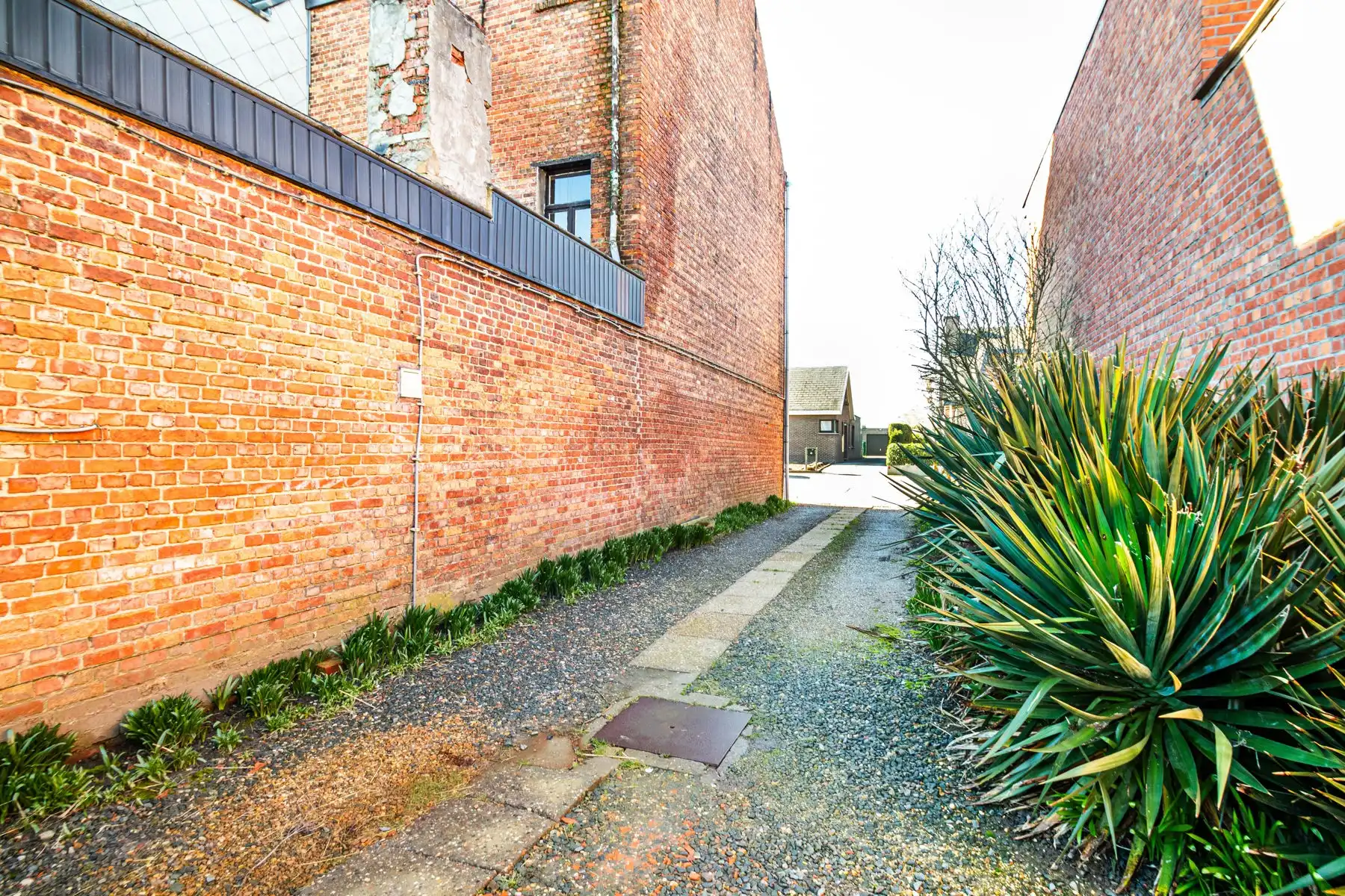 Renovatiewoning op 828 m² met potentieel in Duffel foto 5