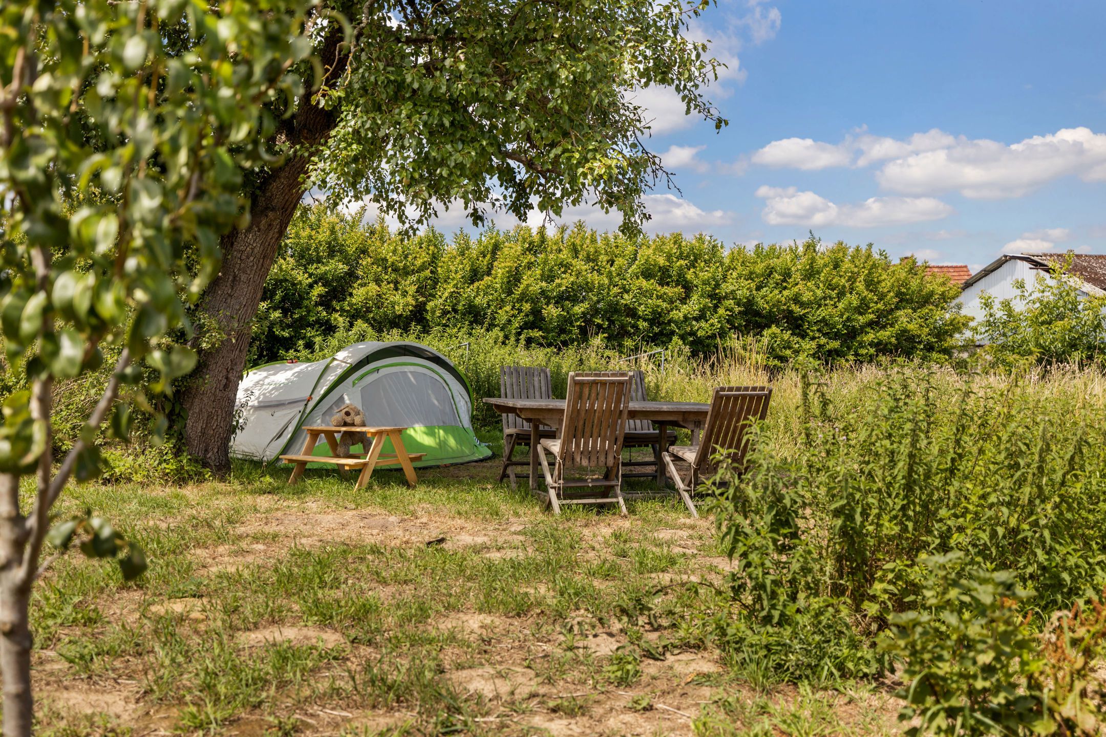 Te renoveren hoeve met schuur, loods en prachtige zichten foto 18
