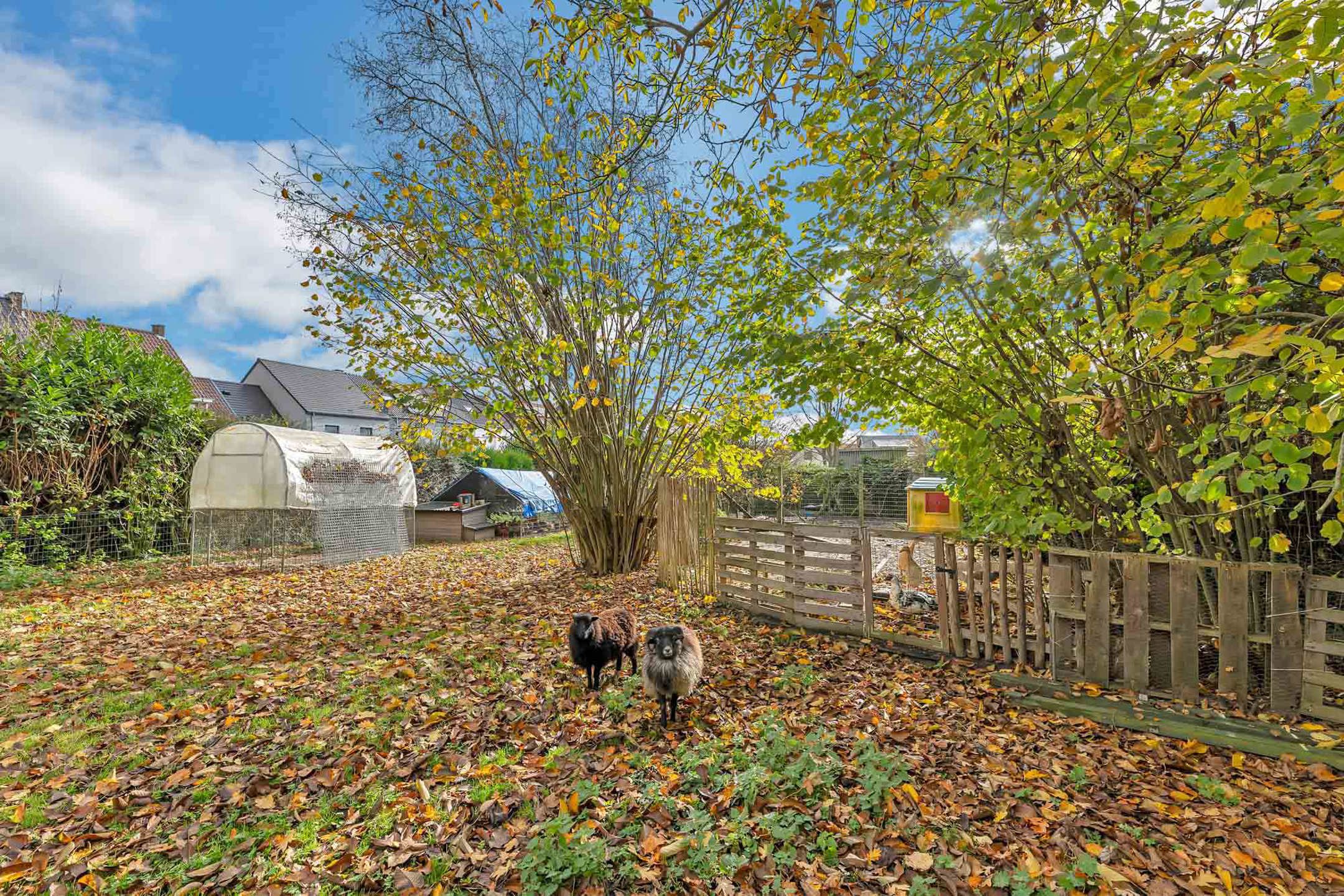 Gezellige woning met ruime tuin foto 24