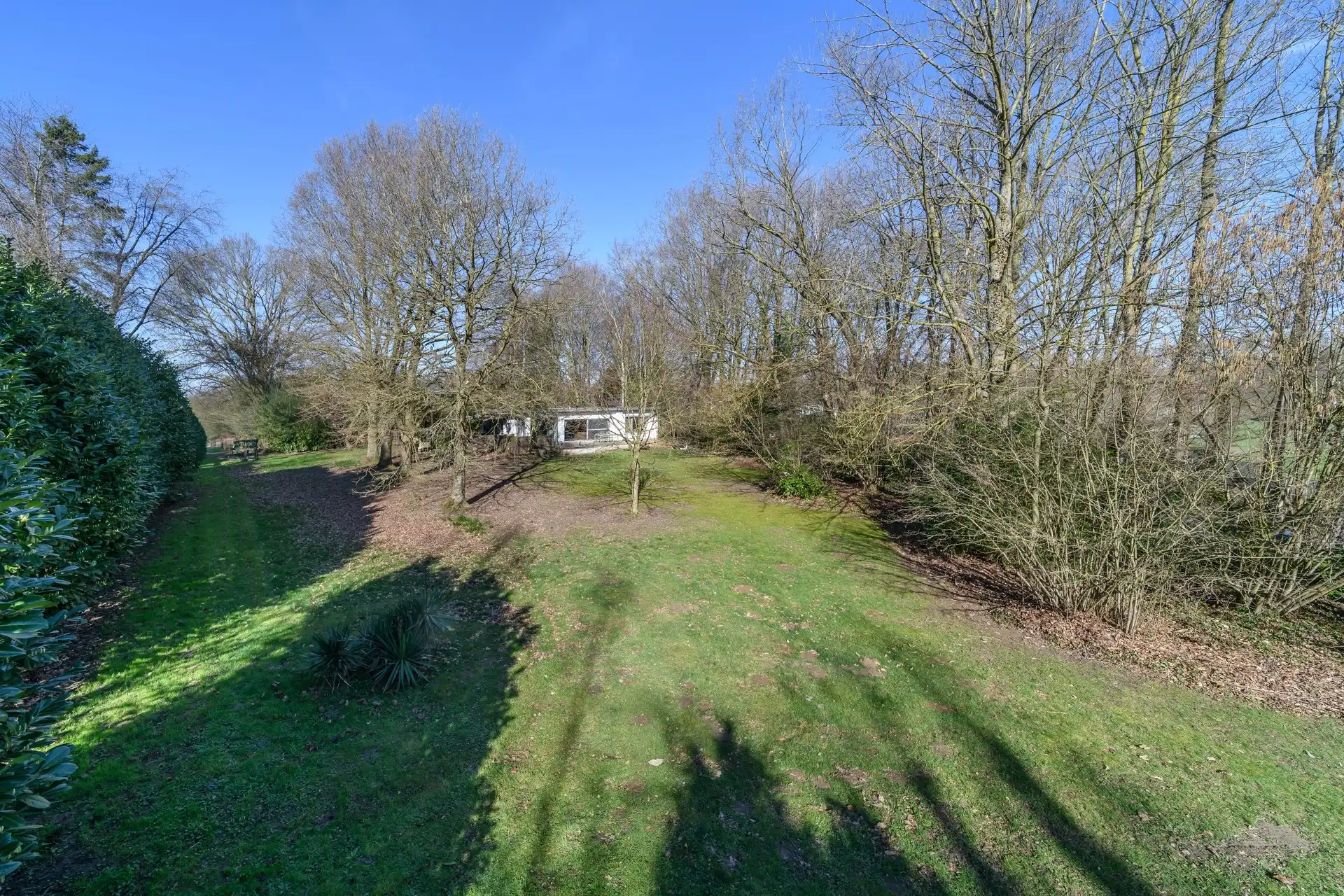 Uitzonderlijke en charmante bungalow op grond van 61 are foto 3