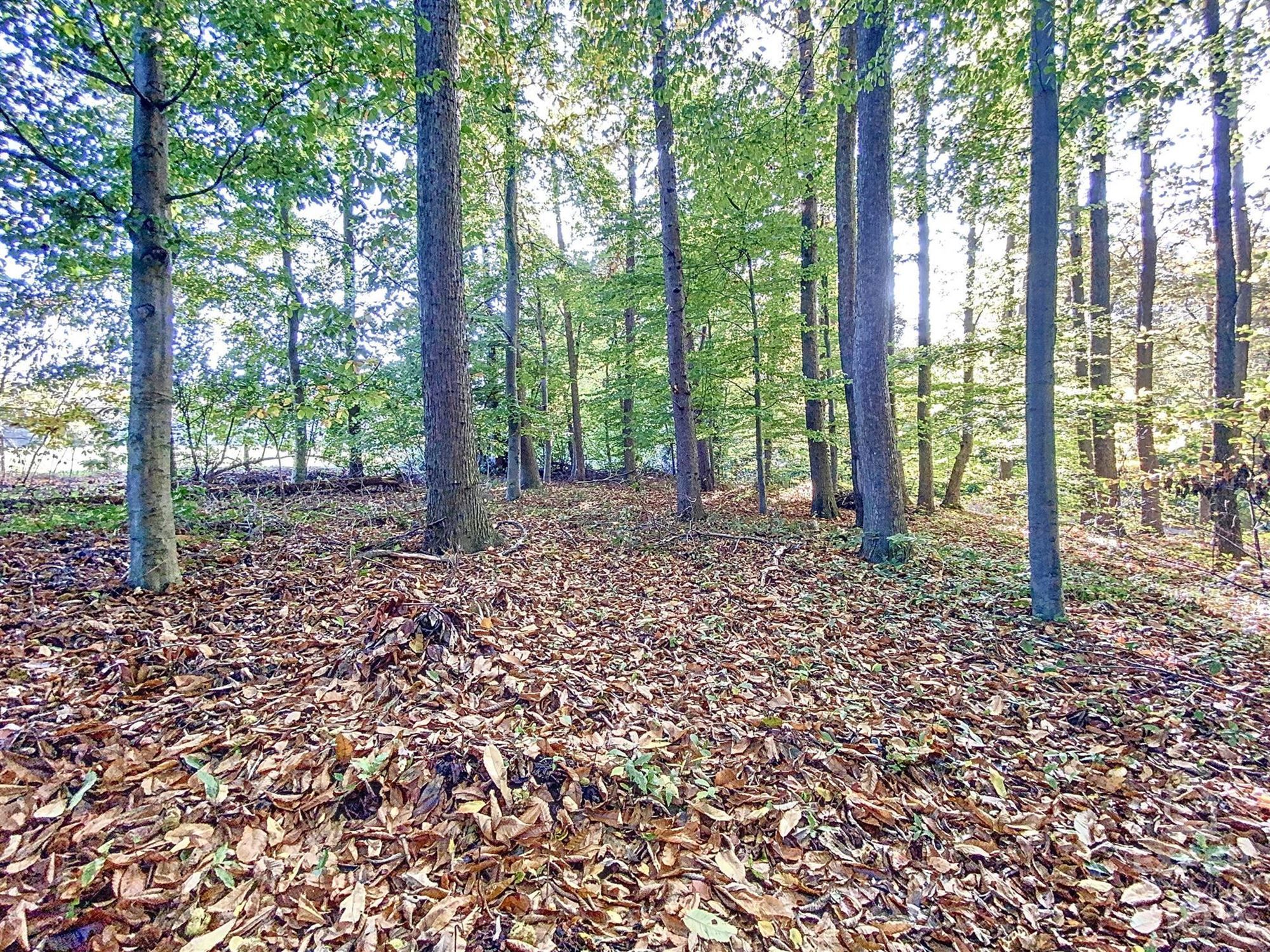 Te koop: Prachtig gelegen stuk grond gelegen in woongebied met landelijk karakter bestemd voor open bebouwing foto 6