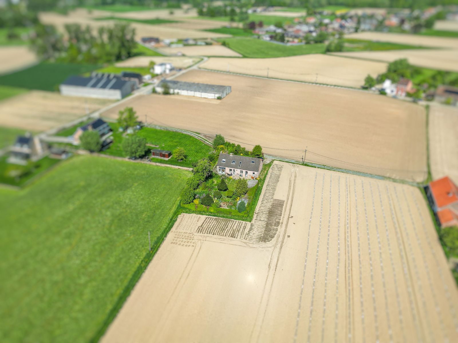 Fantastisch gelegen open bebouwing op een mooi perceel van 1210m² te Londerzeel foto 7