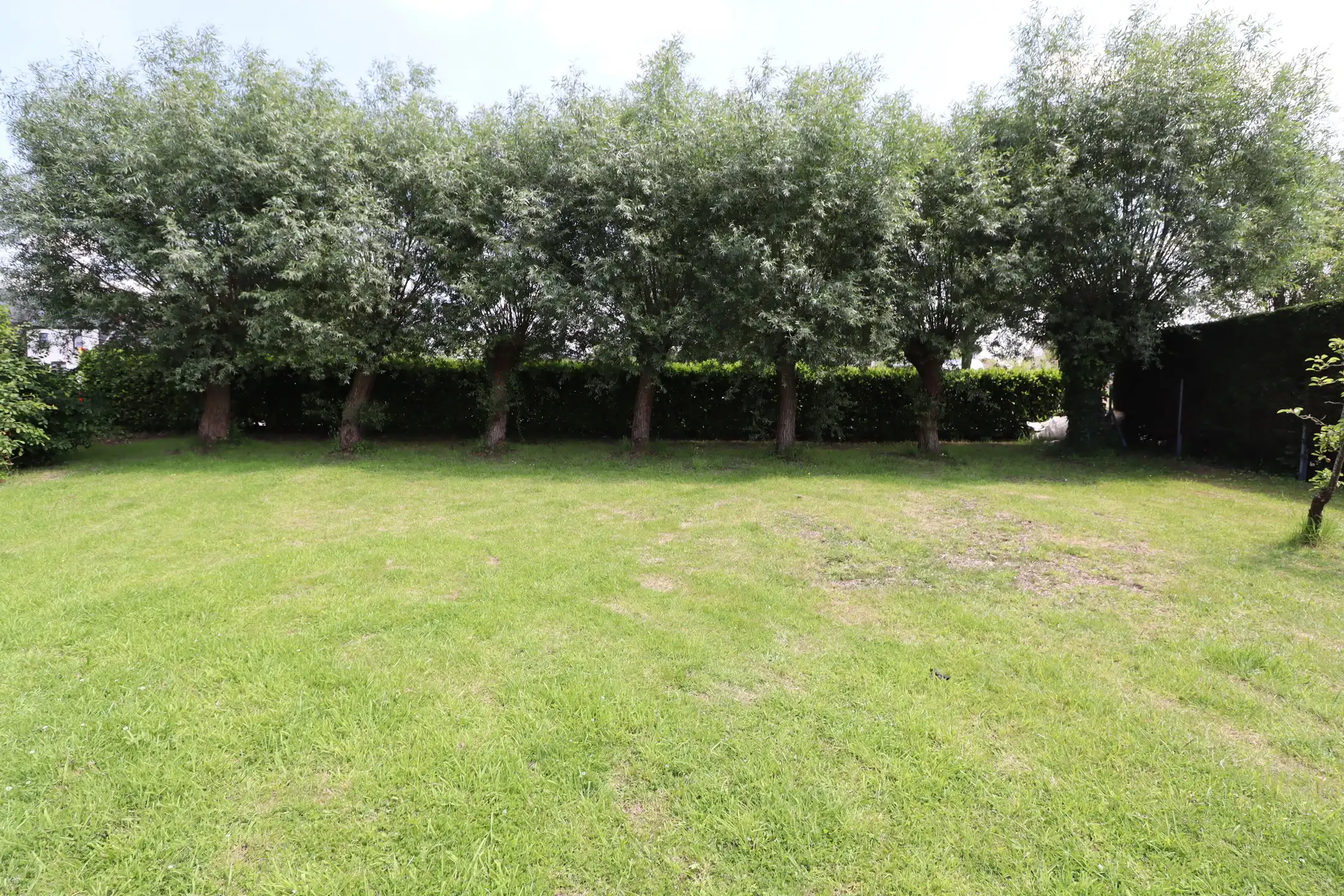 Grond te koop Marthe Massinstraat 14/a - 2890 Sint-Amands