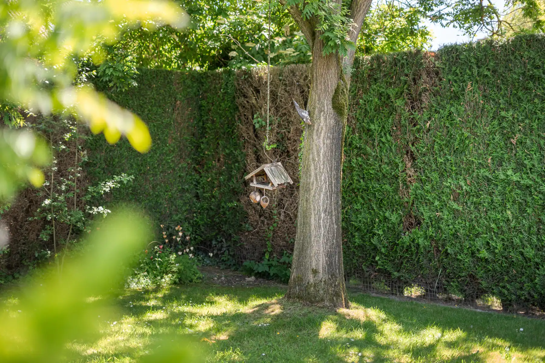 Gezellige woning met tuin,3 slpk en multifunctionele ruimte foto 23
