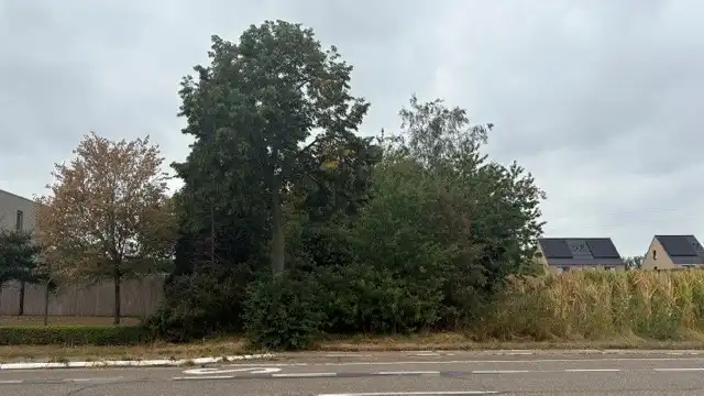 Grond te koop Rijksweg 962 - 3650 Dilsen-Stokkem