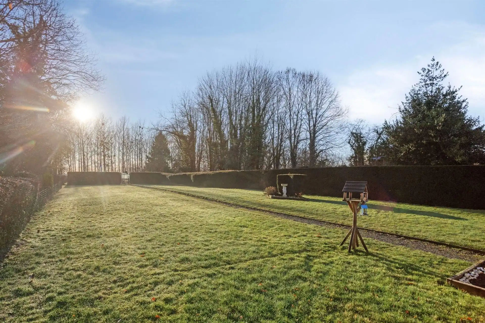 3-gevel woning + opbrengsteigendom (woning) foto 15