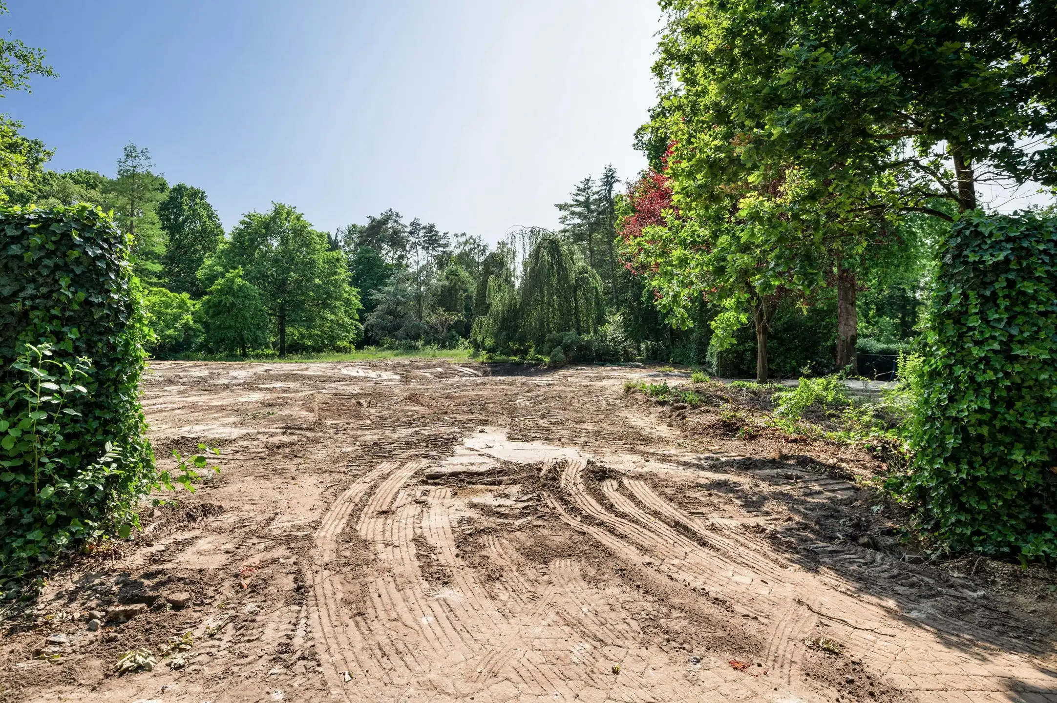 Exclusieve bouwgrond in één van de mooiste lanen van Schilde foto 9