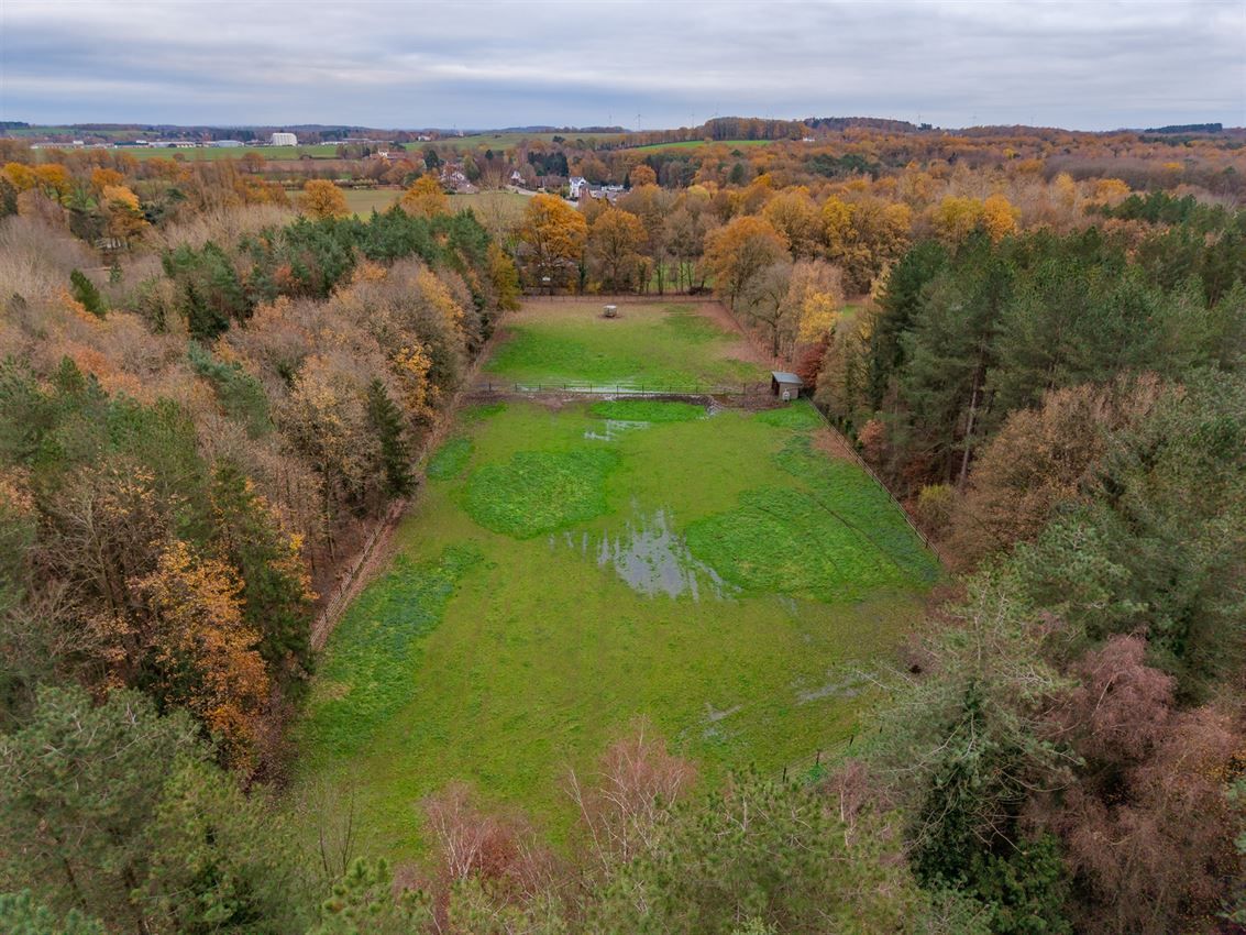 Rustig gelegen woning met weiland en stallen foto 34