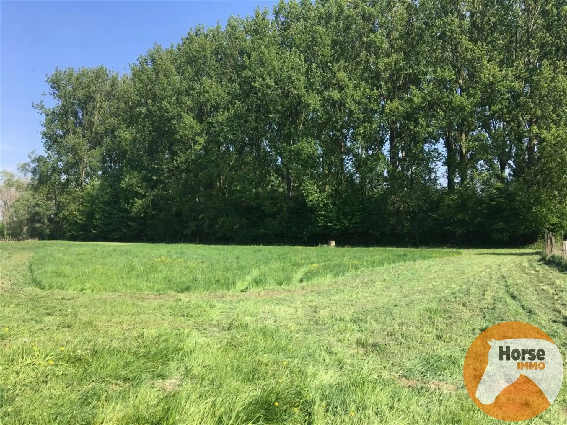 DENDERLEEUW - Weide van 1,6 HA. foto 4