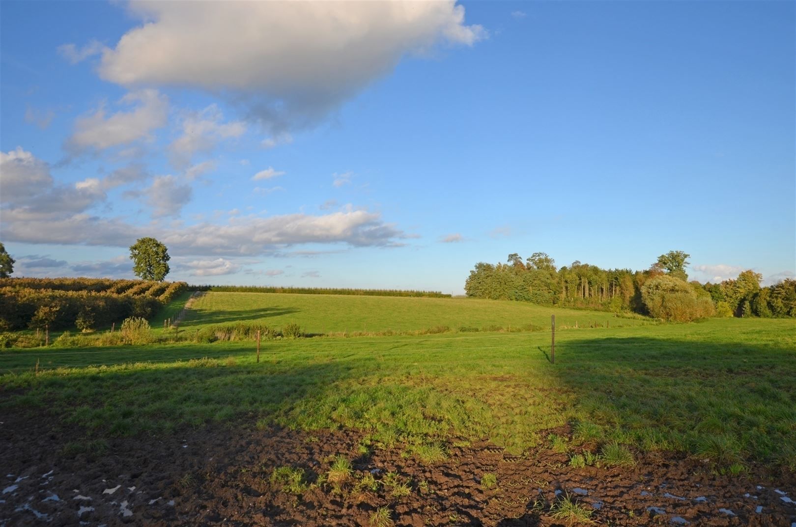 Uniek kasteeldomein op ±6.5 Ha met veel mogelijkheden foto 28