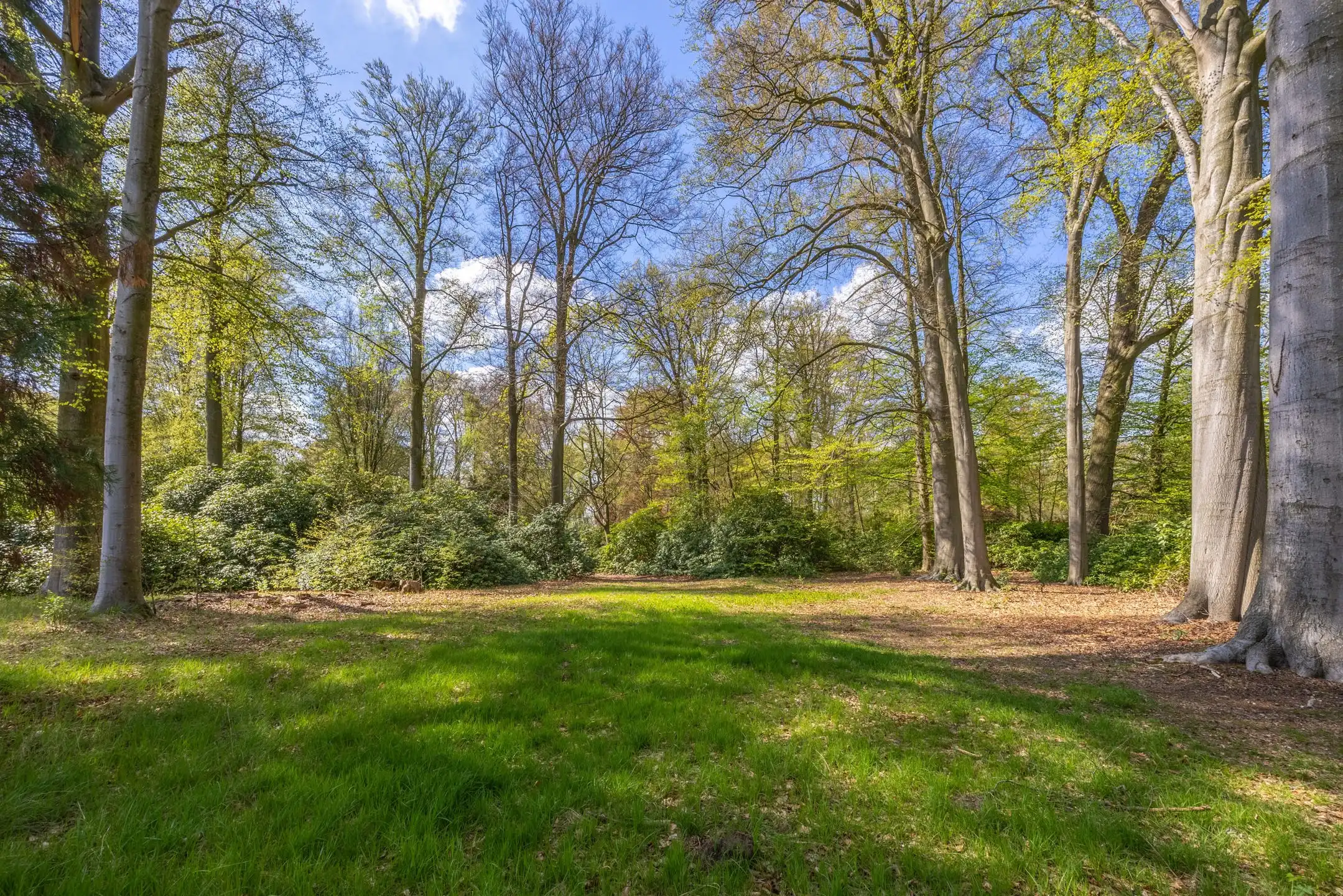 Exceptionele bouwgrond van 12.465 m² in Vriesdonk foto 11