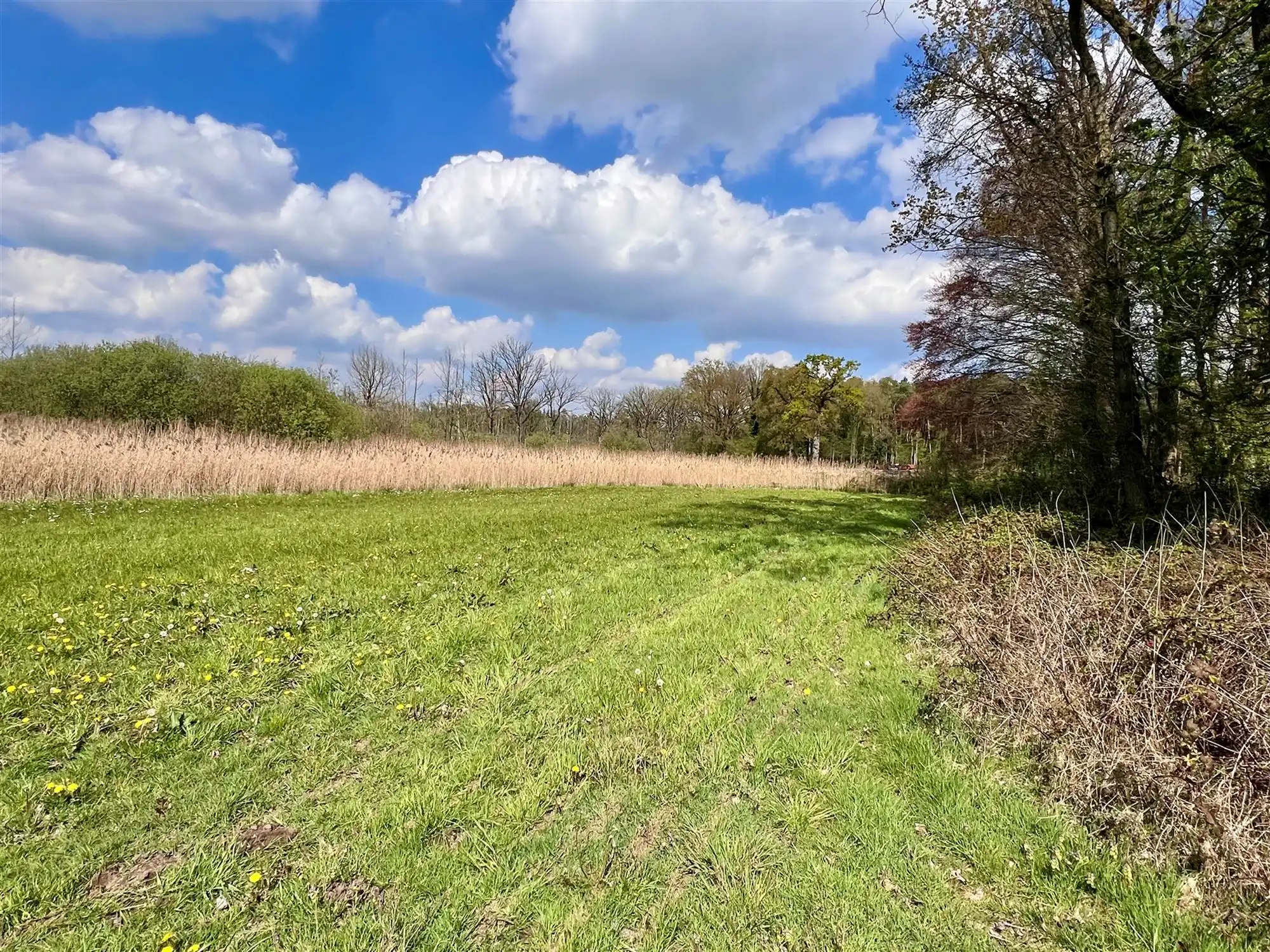 Agrarisch perceel van 8.260 m,  groene en rustige omgeving  foto 4