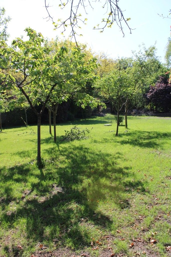 Zeer mooie bouwgrond op gunstige ligging foto 7