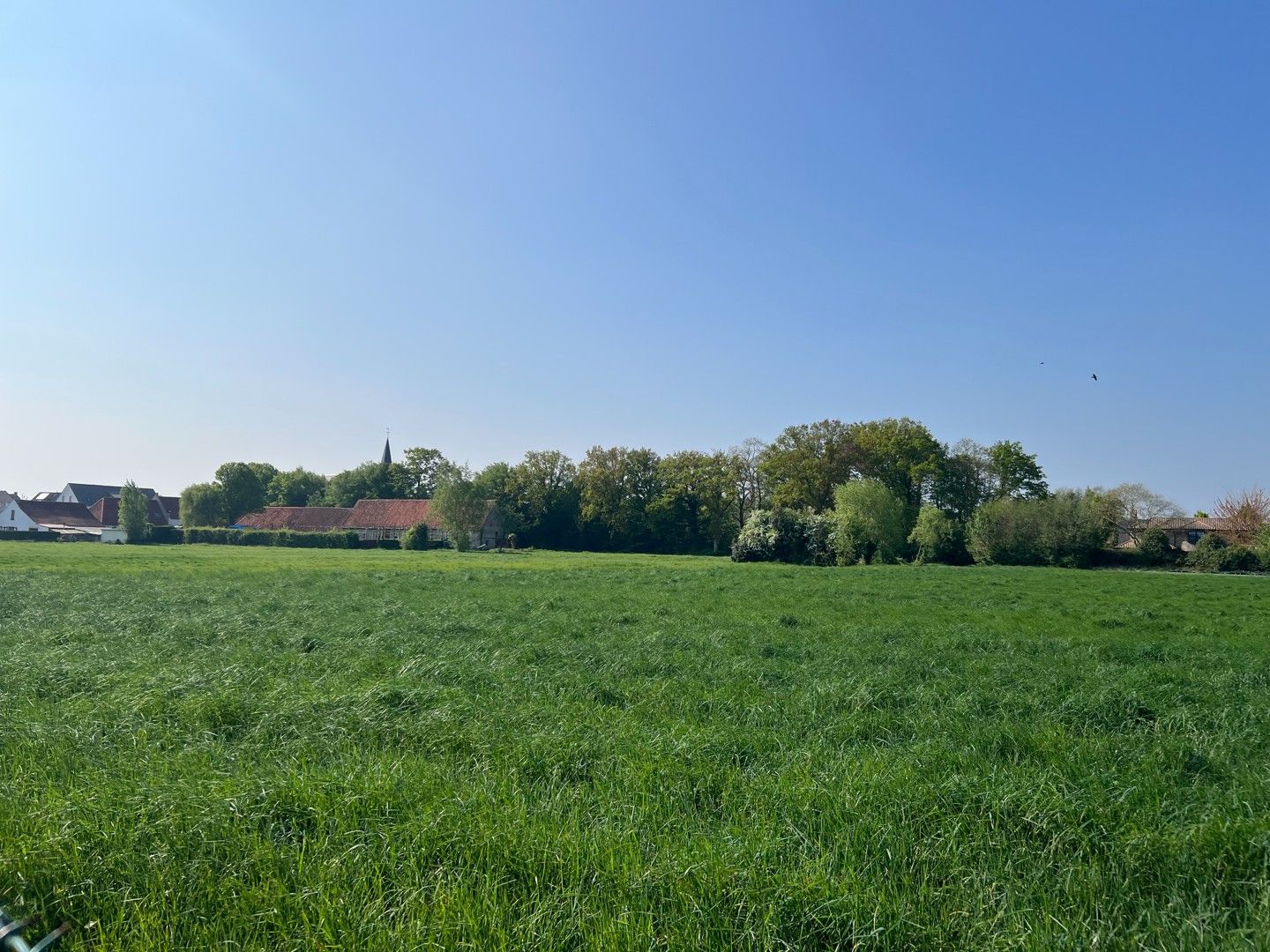 Te renoveren bungalow met landelijk zicht foto 3